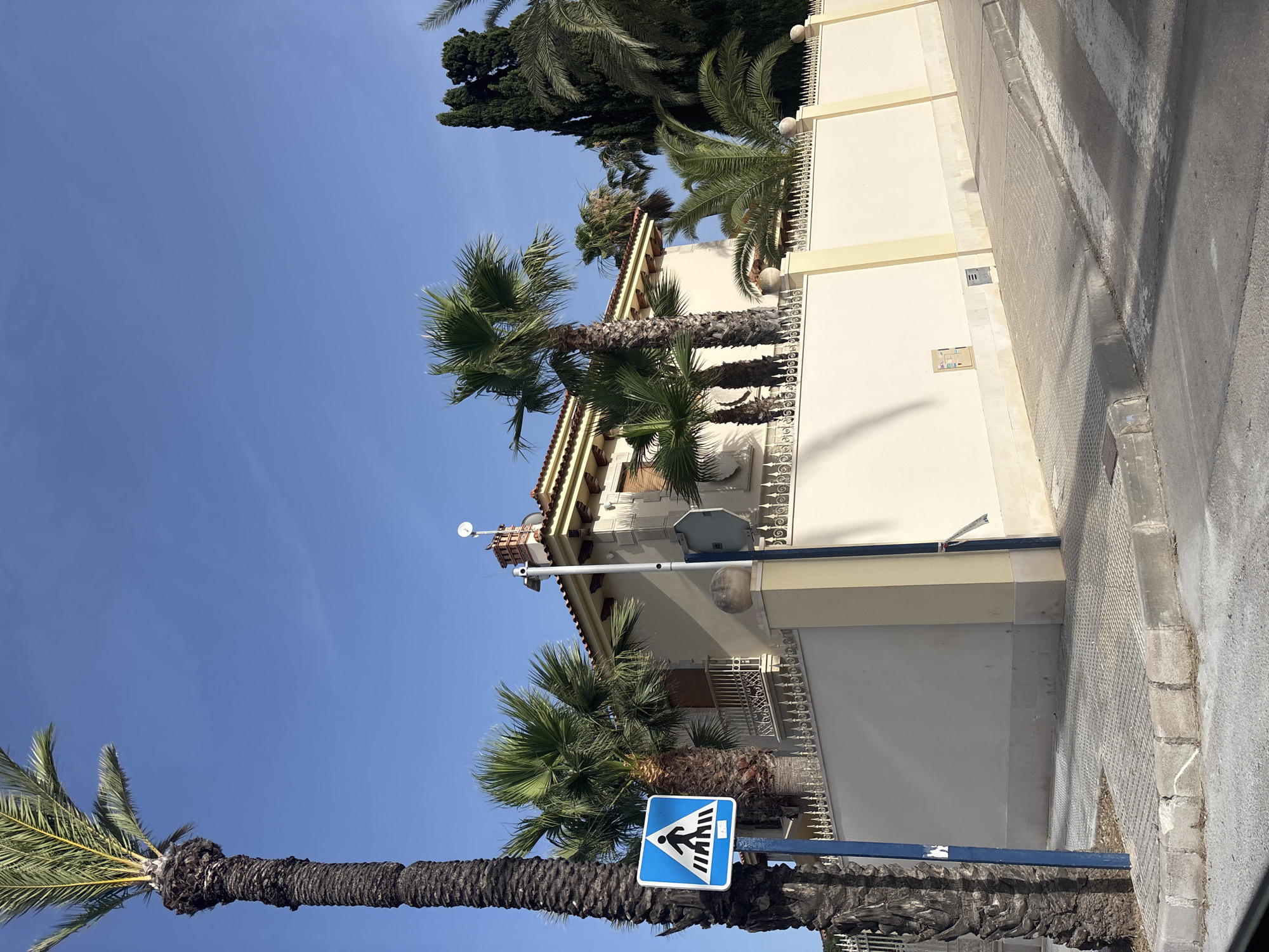 This is a full-frame, eye-level, outdoor, medium shot of a street in Urbanización Cabo Roig, Spain. The image features a pedestrian crossing sign on a blue pole in the foreground, with a large palm tree to its left. Behind the sign and palm tree, a light-colored house with a red-tiled roof is visible, partially obscured by several palm trees and a tall cypress tree. The house is surrounded by a cream-colored wall topped with decorative metal fencing. The street in front of the house has a sidewalk and a pedestrian crossing marked on the asphalt. The sky is clear and blue.