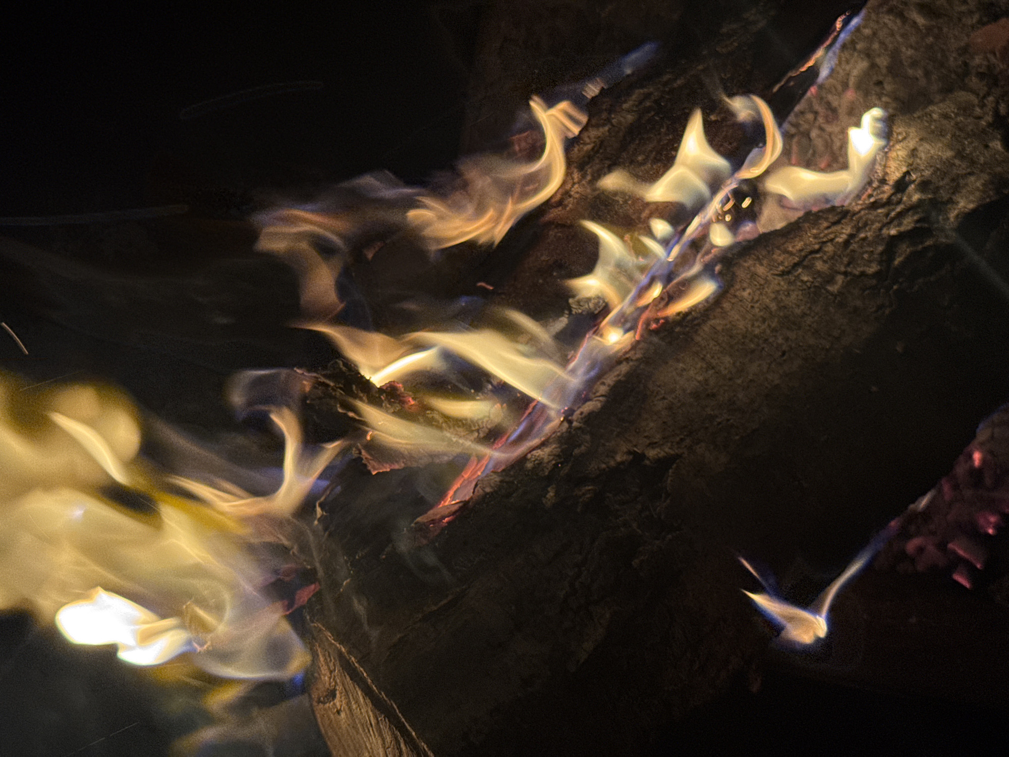 Flames emanate from a dark wood log in a dimly lit setting. The flames are predominantly yellow and white, with some hints of blue and red.