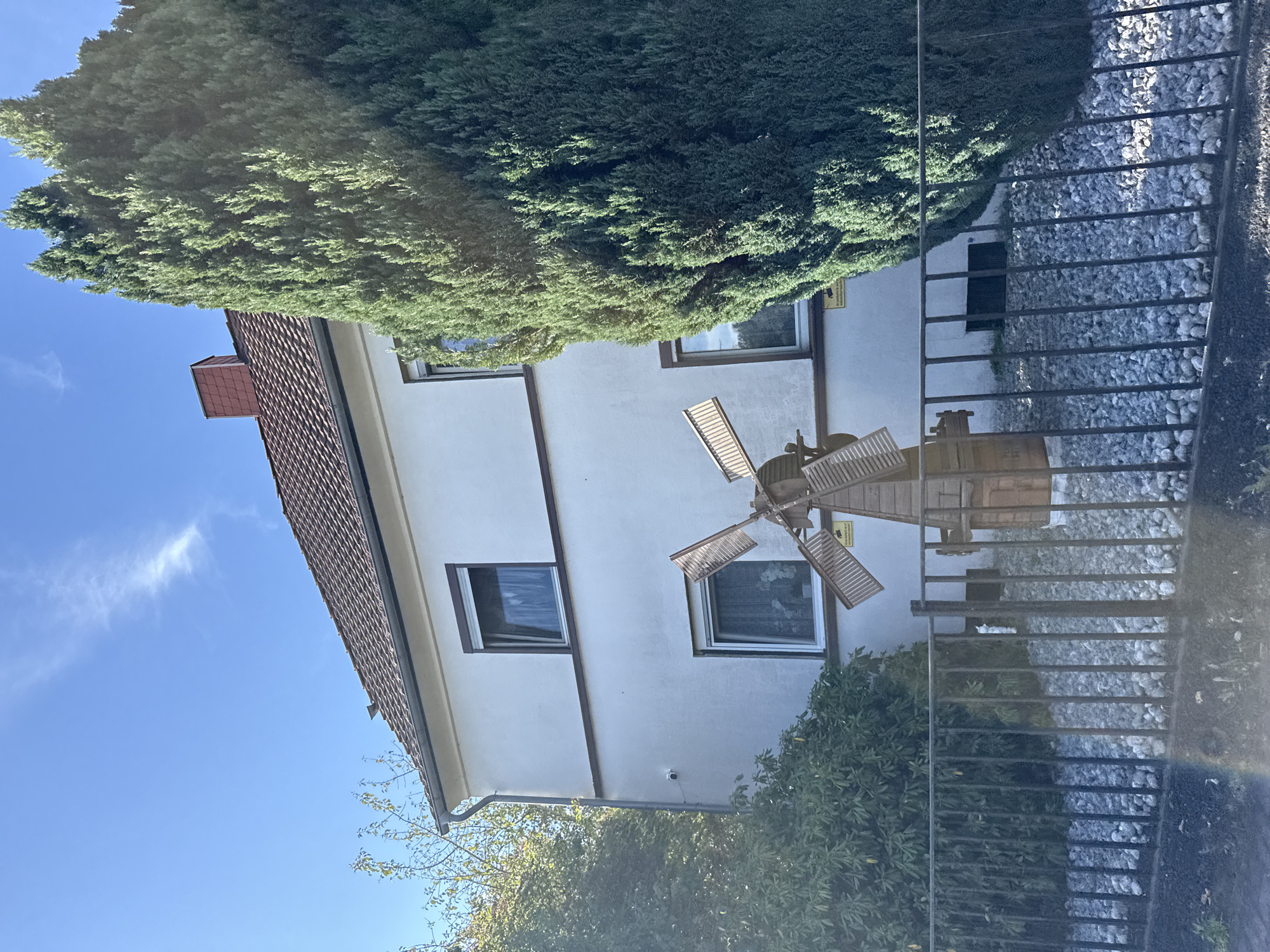 This image, taken in Bad Sachsa, Germany, shows a residential building on a sunny day. The building is white with a red-tiled roof and a red chimney. It has at least two windows on the visible facade, both with dark-framed panes and white roller blinds partially drawn.
In front of the house, a decorative wooden windmill with four angled blades is positioned in a yard enclosed by a dark metal fence. The ground within the fenced area is covered with light-colored gravel. To the right of the windmill, a tall, dense green coniferous tree dominates the right side of the frame. To the left of the windmill and extending towards the left edge of the image are leafy green bushes and trees, some with yellowing leaves, suggesting it might be autumn.
The sky is a clear, bright blue with a wispy white cloud. A small black security camera is mounted on the wall of the house between the two visible windows. A yellow sign with black text is affixed to the base of the windmill.