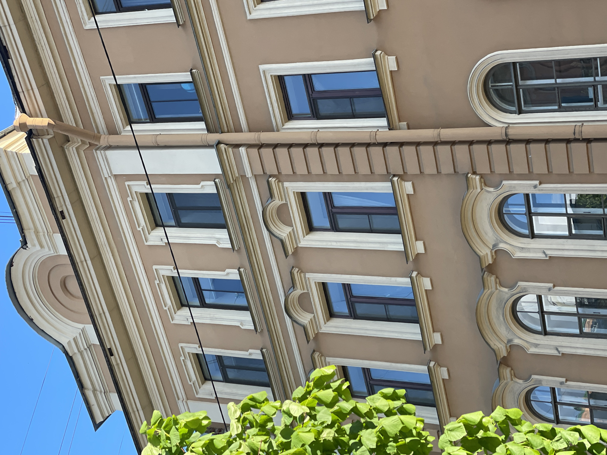 The image shows the exterior of a building in Saint Petersburg, Russia. The building has a light brown facade with white trim and decorative elements. It has multiple rectangular and oval windows, which are dark and reflect the sky. A section of the building's roofline is visible on the left. In the foreground, a green leafy bush obscures the lower part of the building. The sky is visible in the upper left corner, appearing blue.