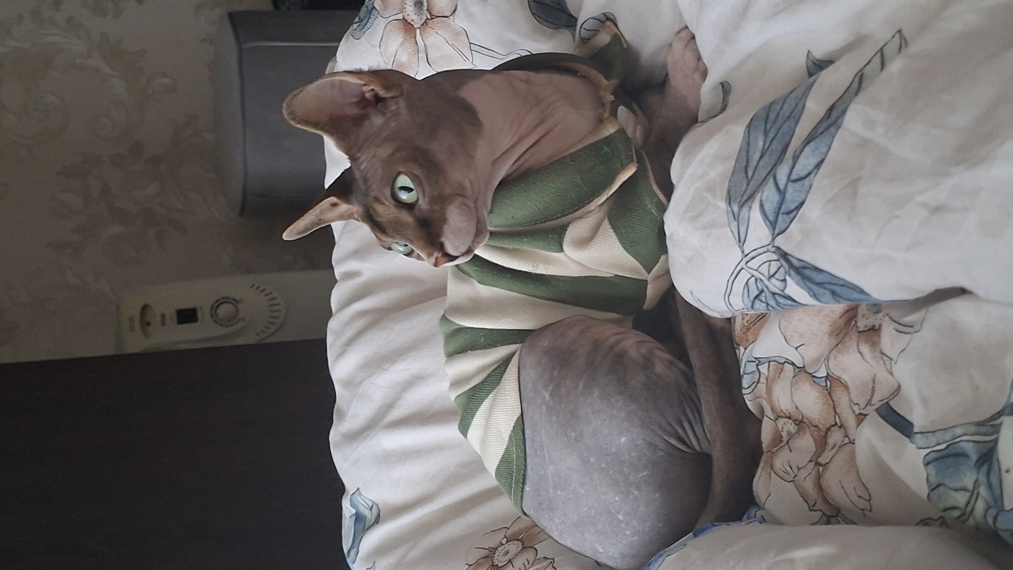 A hairless cat wearing a green and white striped sweater is lying on a bed with a floral patterned comforter. The cat is facing to the right, with its bright green eyes looking towards something out of frame. The cat's skin is wrinkled, as is typical for the breed. The comforter has large, abstract floral patterns in shades of pink, orange, and white. In the background, a white electric heater is visible against a wall with floral wallpaper. This scene appears to be indoors, likely in a bedroom, within a residential setting in Myadzyel, Belarus.