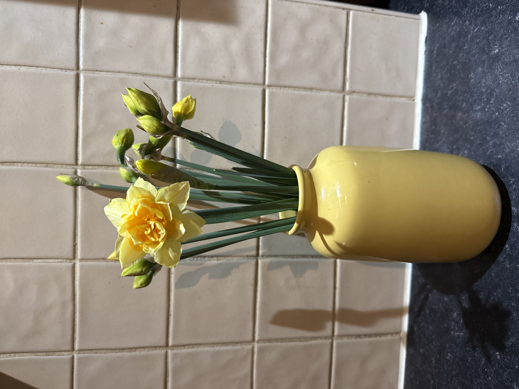 An indoor scene, situated within the city of Great Yarmouth, United Kingdom, displays a yellow ceramic vase holding a bouquet of daffodils. The vase is cylindrical, with a smooth, glossy finish, and rests on a dark, speckled countertop. The bouquet features one fully bloomed yellow daffodil with a prominent, ruffled orange-yellow center. Numerous other daffodil stems rise from the vase, each topped with tightly closed green buds, some exhibiting a pale yellow hue. The stems are uniformly green. Behind the vase and countertop, a tiled wall consists of light beige, rectangular ceramic tiles arranged in a consistent grid pattern with light grey grout lines. Defined shadows of the vase and flower stems are cast onto both the tiled wall and the countertop, indicating a light source positioned to the left. No individuals are visible.