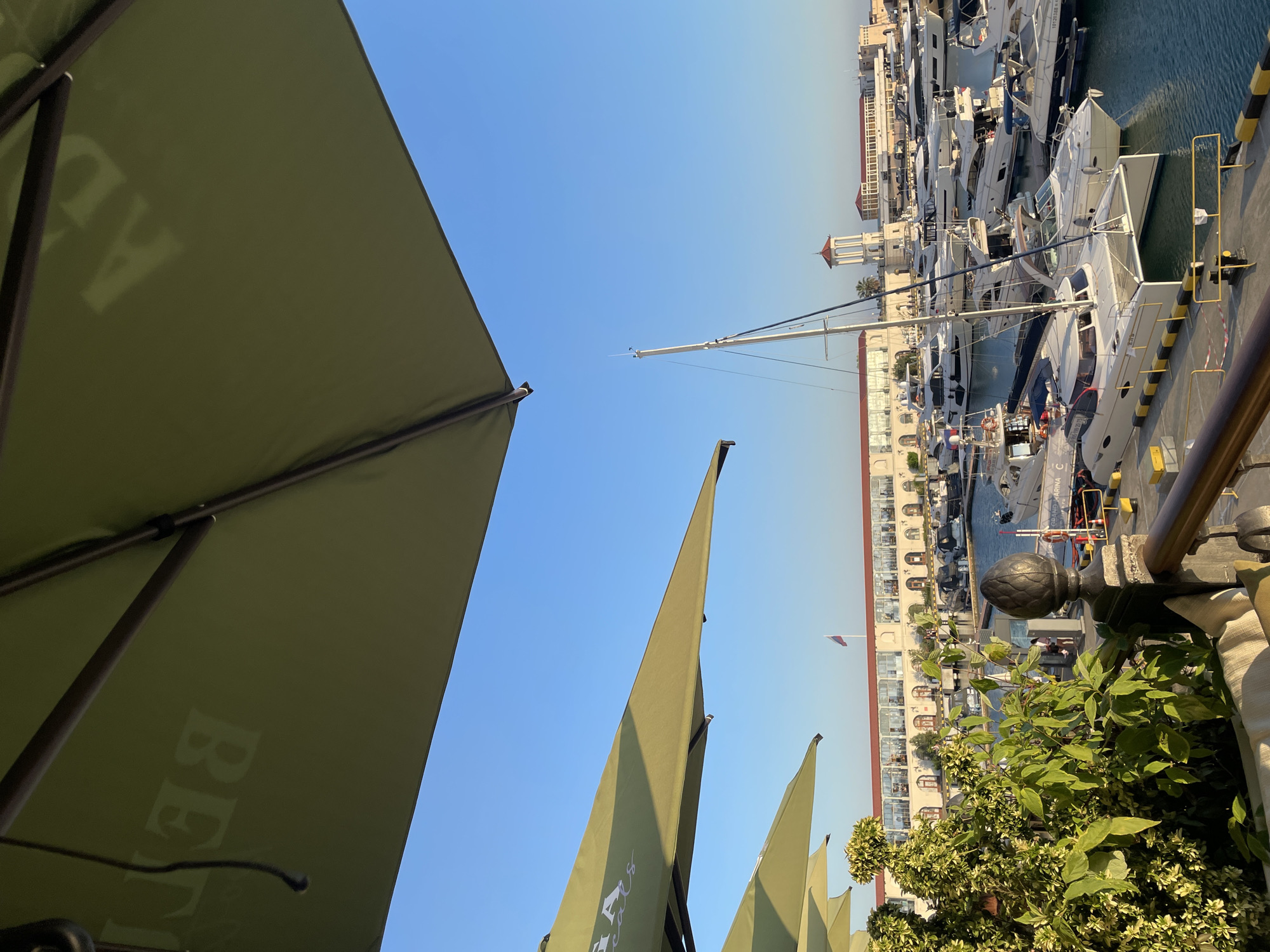 The image captures a view of a marina in Sochi, Russia, under a clear blue sky. In the foreground, a large green umbrella casts a shadow, with part of its underside visible showing the word "BETTI" in light lettering. To the left, another green umbrella is partially visible, also displaying lettering. A lush green plant is in the lower left corner, framing the scene.
Beyond the plant and umbrellas, the marina is filled with numerous yachts and boats of various sizes, docked in the water. A prominent white catamaran with two hulls is in the center foreground. In the background, a long, multi-story building with arched windows stretches across the scene, with a Russian flag flying from a pole. A distinctive tower with a red roof stands near the building. The water of the marina is calm and reflects the clear sky. The overall impression is one of a sunny day at a well-appointed harbor.