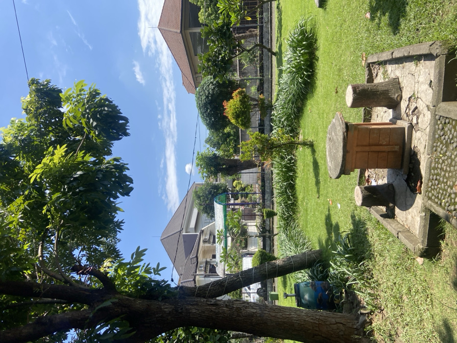 The image shows a grassy area with a small wooden table and three stools. The table is made of wood and has a concrete top. The stools are also made of wood. The area is located in a residential neighborhood in Kecamatan Sidoarjo, Indonesia (latitude: -7.441, longitude: 112.705). The scene is illuminated by the sun, and the sky is mostly clear, with some clouds. There are several large trees surrounding the grassy area. Two houses can be seen in the background, one with a tiled roof and another with a gable roof. A blue garbage can is in the lower left-hand corner of the image. There is no one in the scene.