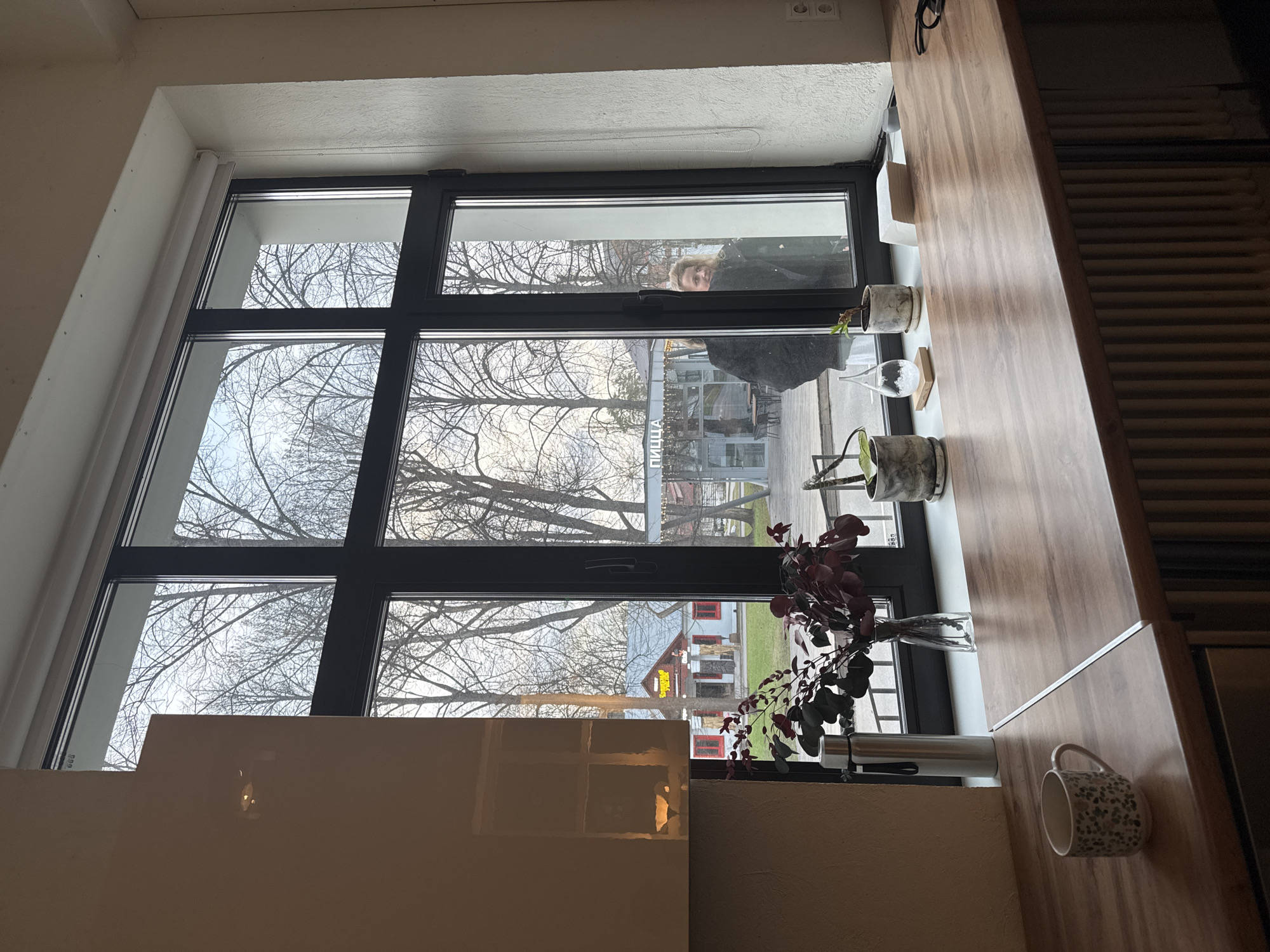 A daytime interior shot showcases a multi-paned window offering a view of the city Moscow, Russia, particularly a building with Cyrillic script on its facade suggesting a restaurant or similar establishment. Leafless trees dominate the foreground, indicating either late autumn or winter. A person's face is partially visible in the top pane of the window, suggesting they are outside looking in. On the interior side of the window, various potted plants and a vase with dark foliage are arranged. A mug sits near the edge of what appears to be a countertop. The interior setting has a neutral color palette. The lighting is soft and diffused, characteristic of an overcast day.