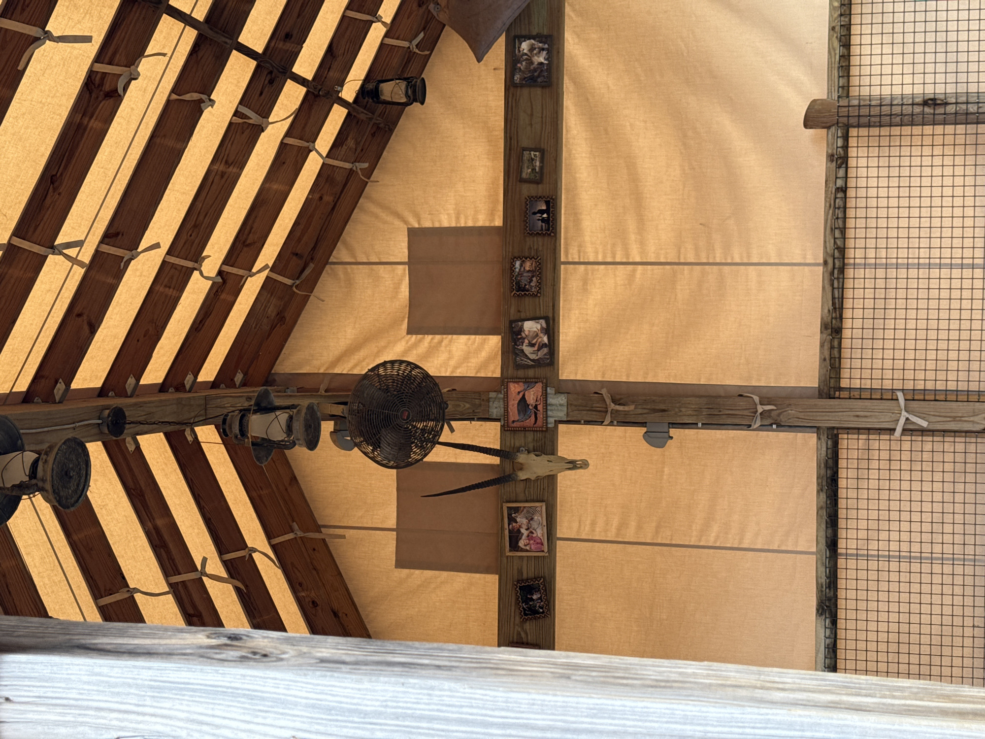 A low-angle shot shows the interior of what appears to be a themed restaurant or entertainment venue in Powell, United States of America. The structure features a canvas roof supported by a wooden frame, with alternating light and dark wooden beams. Decorative kerosene lamps are attached to the beams on the left. A vertical wooden beam is centrally positioned and adorned with small framed pictures and an animal skull with horns. A dark-colored electric fan is mounted near the vertical beam. The right side of the frame includes a section with a wire mesh grid. The color scheme is predominantly tan and brown, creating a rustic atmosphere.