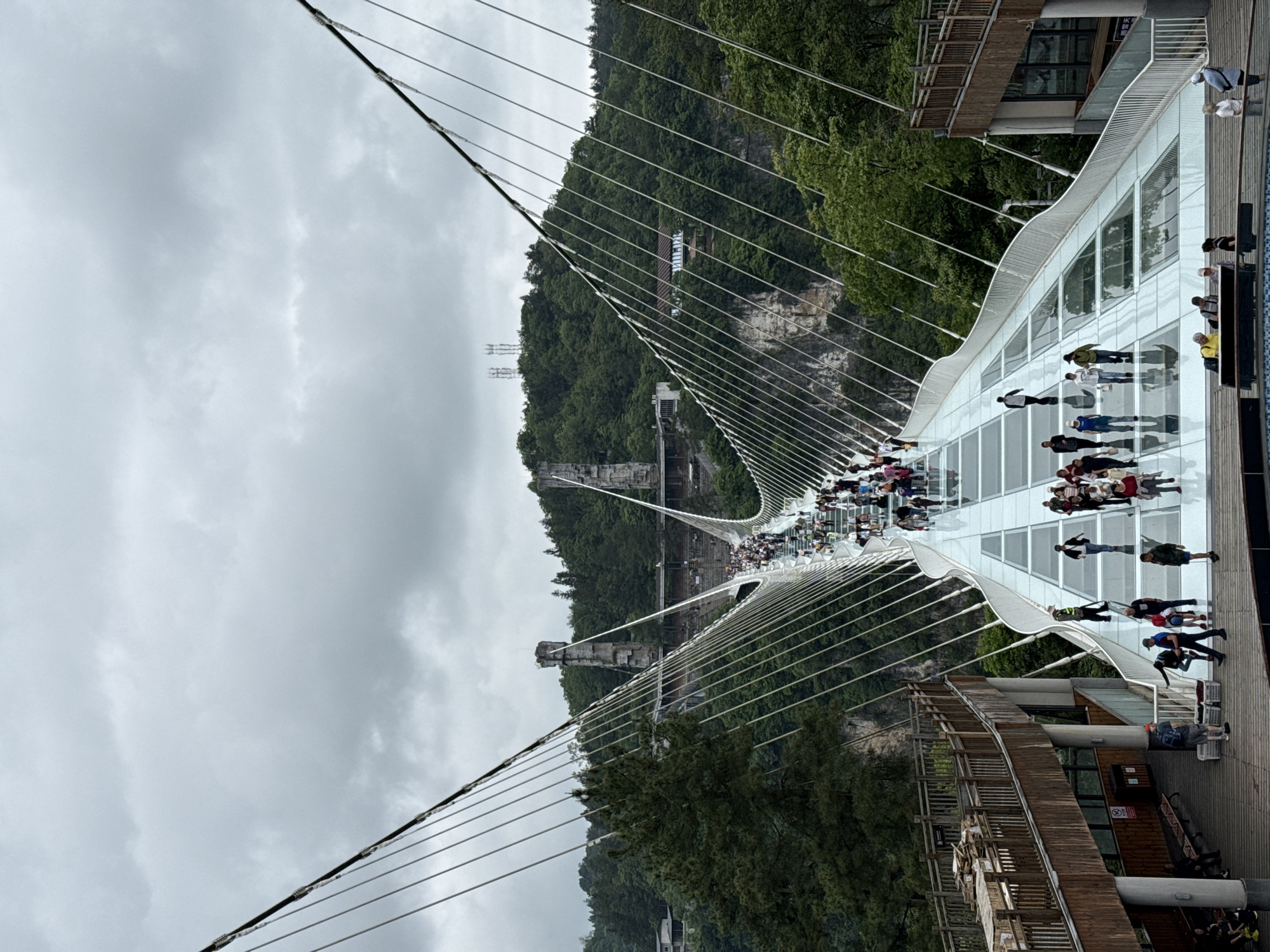 The image depicts a glass-bottomed bridge in Zhangjiajie, China, suspended between two forested hills. A dense crowd of people is crossing the bridge. The sky is overcast, creating a diffused light. The bridge structure is modern, with white architectural supports and steel cables extending to anchor points on the hillsides. Wooden platforms are visible at either end of the bridge, with some people standing near the edges. The surrounding environment is lush with trees and vegetation covering the hills.