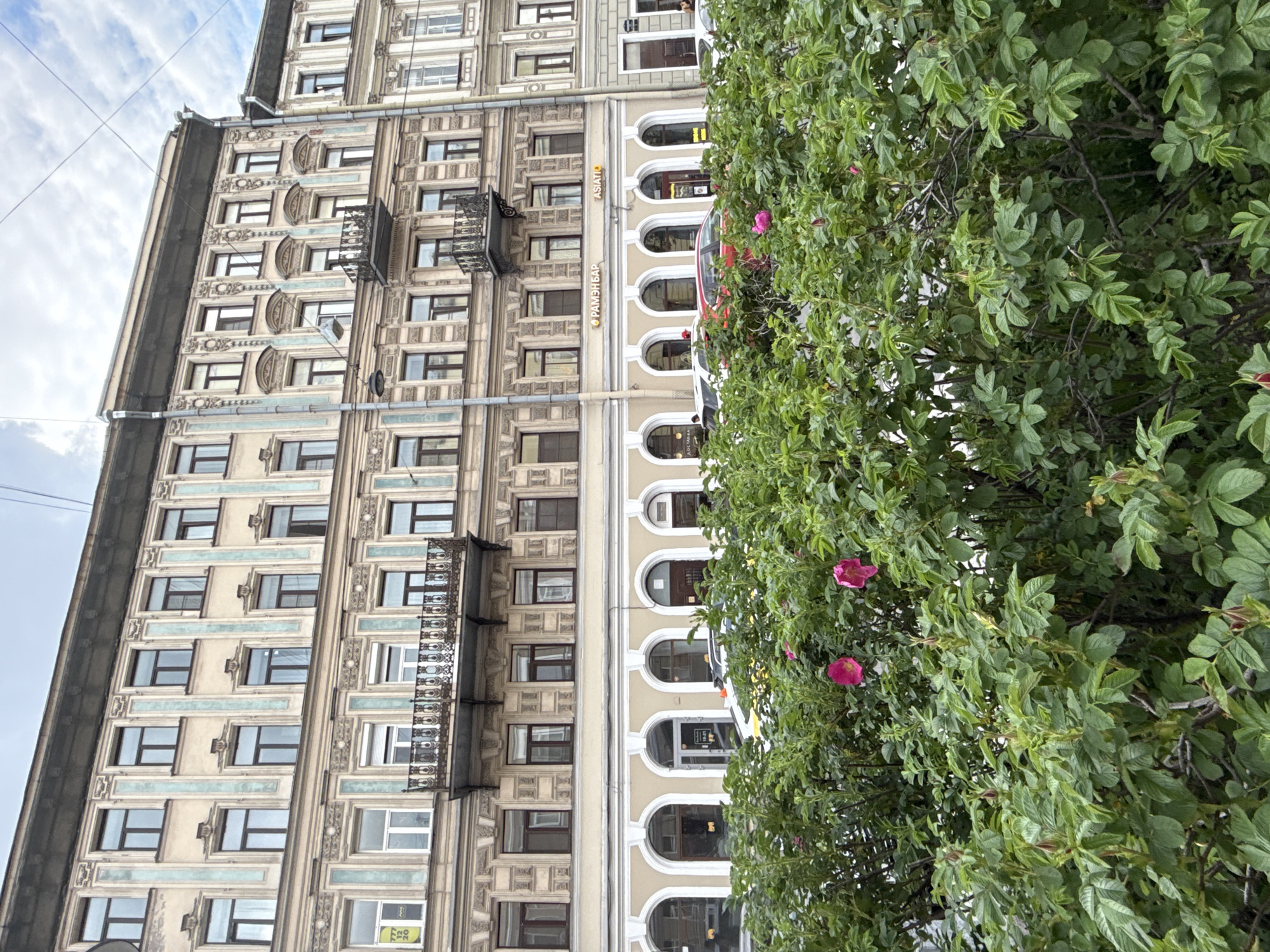 The image displays a vibrant street scene, vertically oriented, featuring a multi-story building on the left and a dense green hedge on the right. The building, likely an apartment or commercial structure, showcases an ornate facade with light-colored masonry, decorative window frames, and horizontal bands with a light blue design. It has numerous windows across multiple floors, some featuring small, dark-colored wrought-iron balconies.
The ground floor of the building is characterized by a series of arched windows and doorways, suggesting commercial establishments. Visible text on signs includes "ASIATIQ" in Roman script and "РАМЭНБАР" (Ramen Bar) in Cyrillic script. A yellow sticker with the numbers "777 12 20" is also visible on one of the ground-floor windows. A red vehicle is partially obscured behind the foliage on the street level.
The right side of the frame is dominated by a lush green bush, possibly a rose or dog rose species, with several bright pink flowers in bloom scattered among the leaves. Above the building, a cloudy sky is visible, with utility wires stretching across the upper left corner. The lighting indicates it is daytime. The architectural style and Cyrillic text suggest a European city, possibly in an Eastern European or Slavic region.