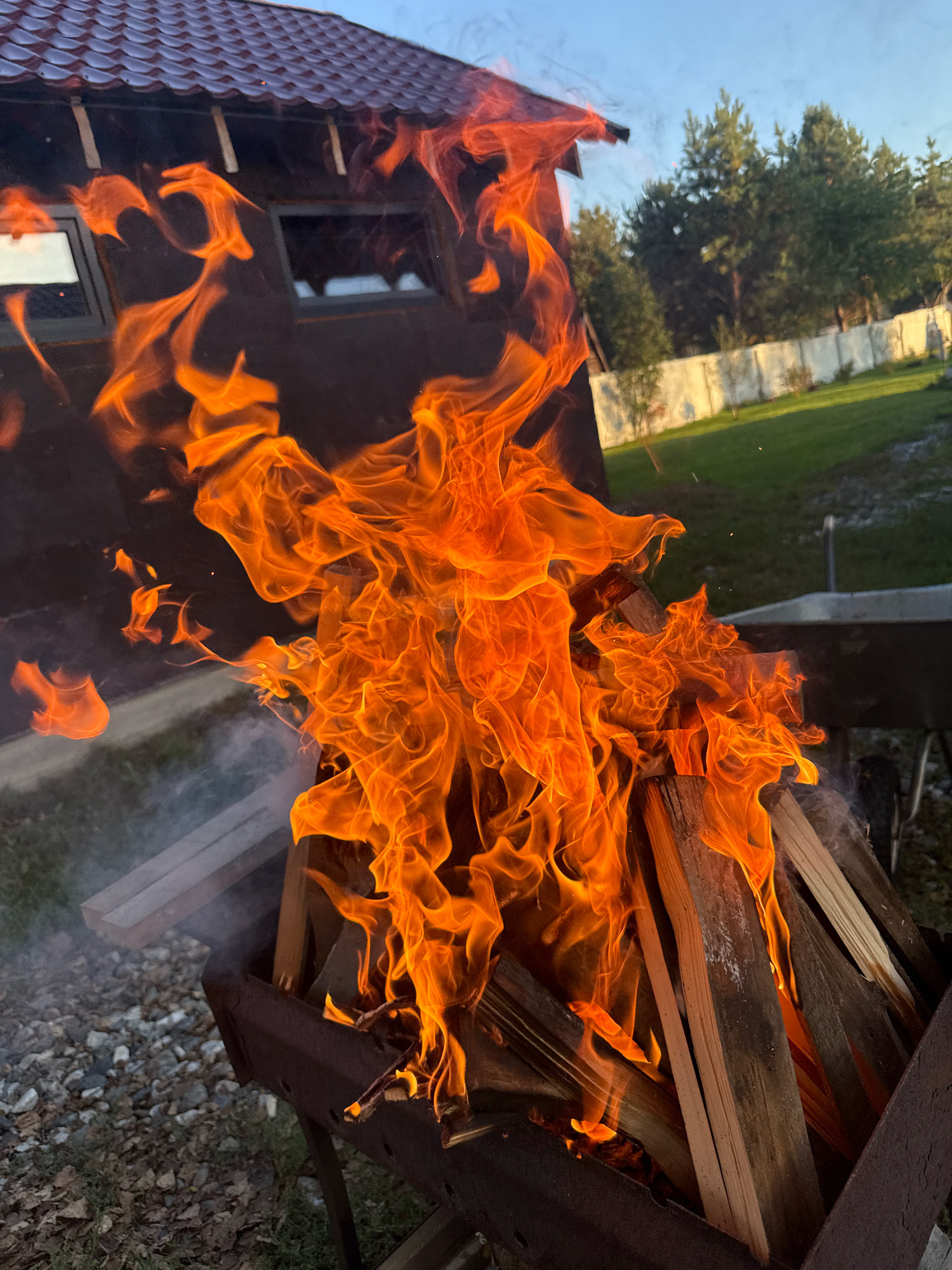 In Krutaya, Russia, a fire burns fiercely in a portable grill. The flames, a vibrant orange and yellow, lick upwards, consuming split logs stacked within the dark, metallic brazier. Wisps of smoke curl around the burning wood and drift to the left. In the background, a dark, wooden structure with a brown, tiled roof and two small windows is visible. Beyond the structure, a neatly mowed green lawn stretches towards a light-colored fence. Trees, predominantly pine, form a dense line behind the fence, suggesting a rural or suburban setting. The sky above is a clear, pale blue, indicating either early morning or late afternoon light. The ground around the grill is covered with small gray stones and fallen leaves.
