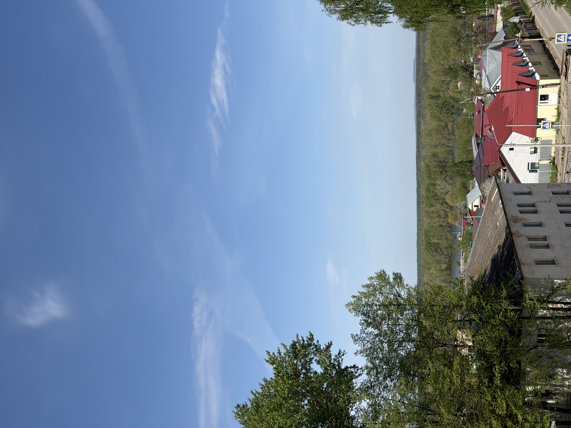 The image captures a view in the city of Chaikovsky, Russia. In the foreground, the frame is dominated by a bright blue sky with wispy cloud formations. A portion of lush green treetops are positioned at the bottom of the frame, adding a natural element. To the right, a section of the urban landscape is visible, featuring a mix of residential buildings with red and gray roofs. A multi-story building with several windows is also visible. The image is oriented vertically. A row of trees and foliage is situated between the buildings and the clear sky. Also, two pedestrian crossing signs are visible near the road.