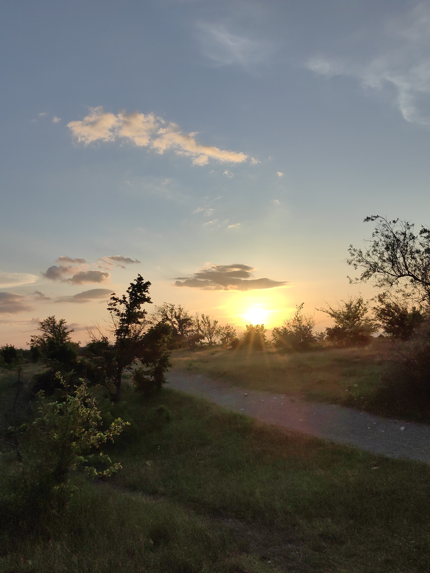 The image depicts a sunset scene in a natural environment. The sun is setting on the horizon, casting a bright yellow and orange glow. Scattered clouds are visible in the sky, some tinged with orange and pink hues. There are trees and bushes silhouetted against the sunset. A dirt path curves through the landscape, leading towards the setting sun. The foreground is filled with green grass. There are no people visible in the image.