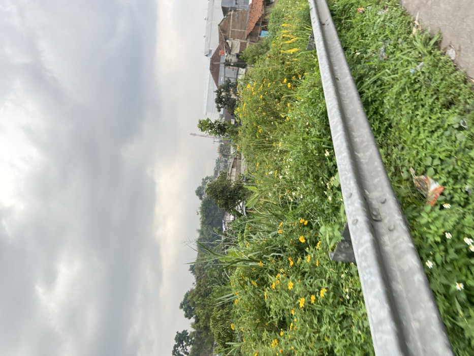 The image shows a patch of green grass and yellow flowers along a roadside in Margaasih, Indonesia (latitude: -6.964, longitude: 107.545). A metal guardrail separates the vegetation from a paved road. The background shows several buildings with red tile roofs, trees, and a cloudy sky. The image is likely taken from a moving vehicle, causing blur in the foreground.