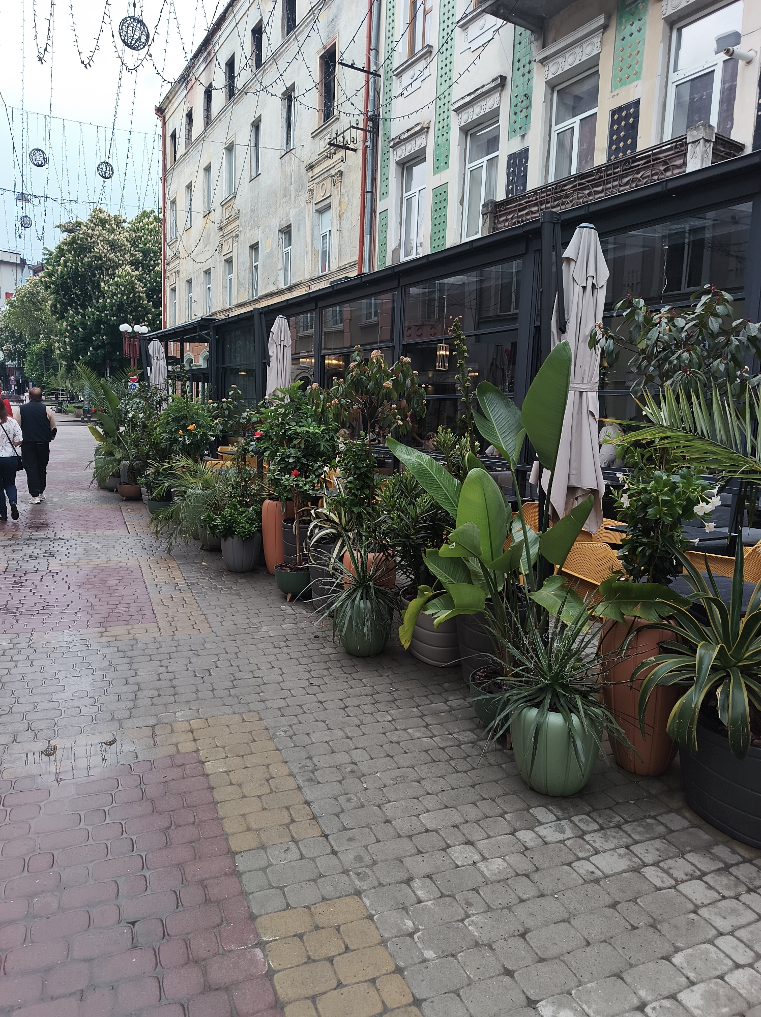 The image depicts a street scene in what appears to be Ternopil, Ukraine, based on architectural styles and common urban elements.
Environment: The foreground shows a sidewalk constructed of colorful paving stones in shades of red, grey, yellow, and tan. The sidewalk is damp, possibly from recent rain, creating a wet sheen on the stones. A row of potted plants of various types extends along the edge of a building.
Subjects and Objects: The building features an outdoor restaurant area. The restaurant is enclosed by glass panels with black metal frames. A series of decorative light fixtures are strung across the street above. The architecture of the building has traditional detailing around the windows. The potted plants serve as a divider between the sidewalk and the outdoor restaurant seating. There are tables and yellow chairs visible within the enclosure. A closed, light-colored patio umbrella stands between plants. In the background, two people are walking along the sidewalk. One is wearing a white top and the other is wearing a dark jacket. The street beyond appears to be lined with trees and other buildings.
Actions and Interactions: People are walking on the sidewalk. The restaurant appears to be open, but there are no patrons visible. The potted plants and umbrellas are stationary, indicating that the area is set up for business but not actively in use at the time of the photograph.