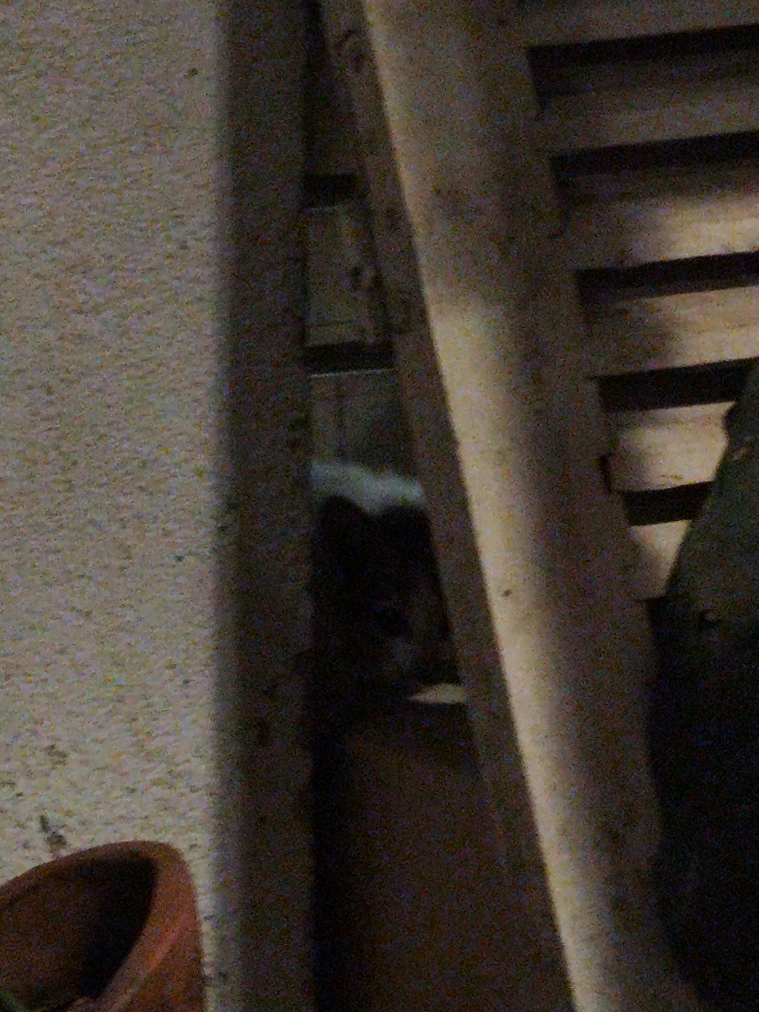 The image shows a dark, grainy scene. A portion of a wall is visible on the left, next to a partially obscured wooden structure. Behind the structure, a dark shape resembling a cat's face is barely visible. A brown, round object, possibly a flowerpot, is located in the lower left corner. It is impossible to discern the specific location in Da Lat, Vietnam, or any actions, interactions, or people in the scene with the given information.