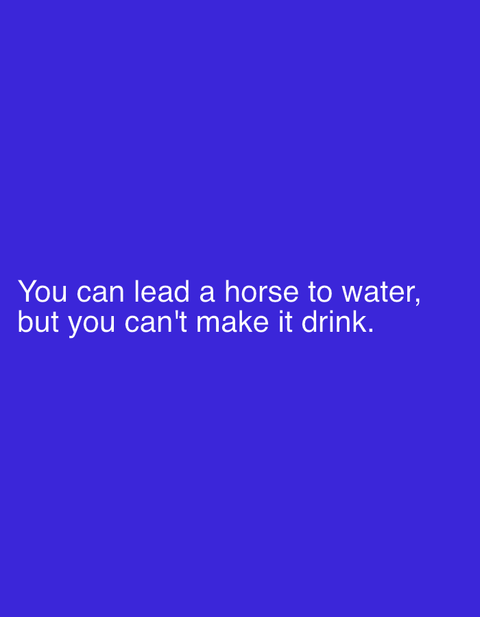 A digital image features a plain, solid blue background. White text is centered on the image, reading: "You can lead a horse to water, but you can't make it drink." The image is not geographically specific to Solontsy, Russia, or any other location, and it does not depict any people, subjects, objects, or actions beyond the text itself.