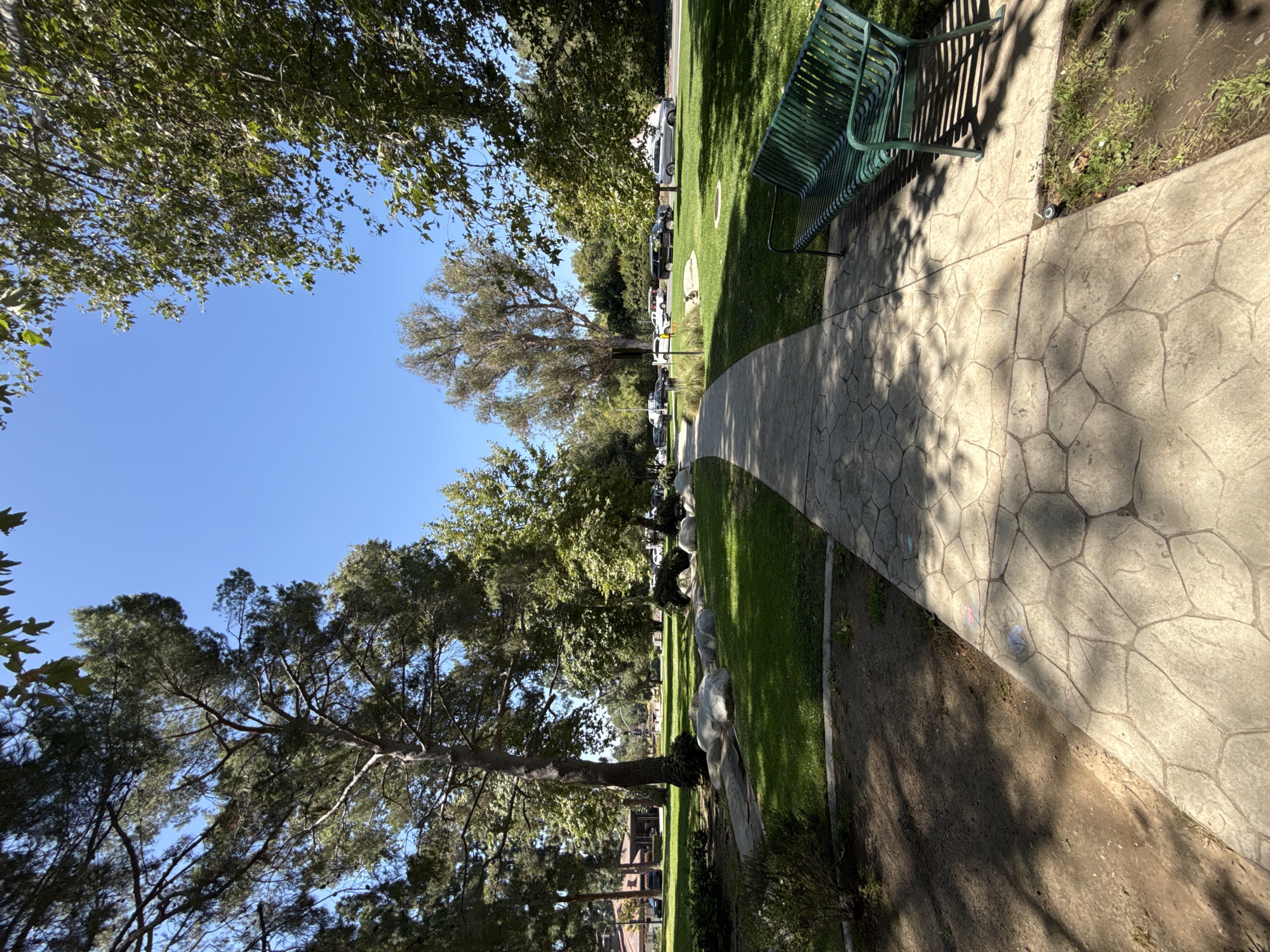 The image shows a paved walkway in Beverly Hills, California, United States of America, leading through a park. The walkway is patterned with irregular shapes, and a green metal bench is situated to the right of the path. Large rocks are scattered on the grassy area to the left of the walkway. In the background, various trees, including tall pine trees, are visible, casting shadows on the ground. Beyond the trees, several vehicles are parked along a street, and residential buildings are partially visible. The sky is clear and blue.