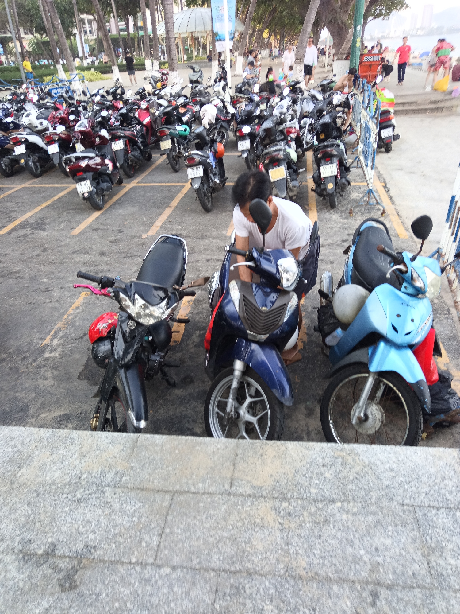 The image depicts a crowded parking lot filled with numerous motorcycles and scooters, likely in a tropical urban setting. Several palm trees are visible, suggesting a coastal or park-like area. In the foreground, two men are interacting with motorcycles. One man, wearing a white t-shirt, is bent over a dark blue scooter, possibly adjusting it. Beside him, another man is working on a bright blue scooter. In the background, more motorcycles are parked, and various people can be seen walking or standing around. The ground is paved with asphalt and marked with yellow lines for parking spaces. Beyond the parking lot, there are glimpses of buildings, more trees, and what appears to be a beach or waterfront area with a body of water in the distance. The overall impression is one of a busy public space in Nha Trang, Vietnam, commonly utilized for parking personal transportation.
