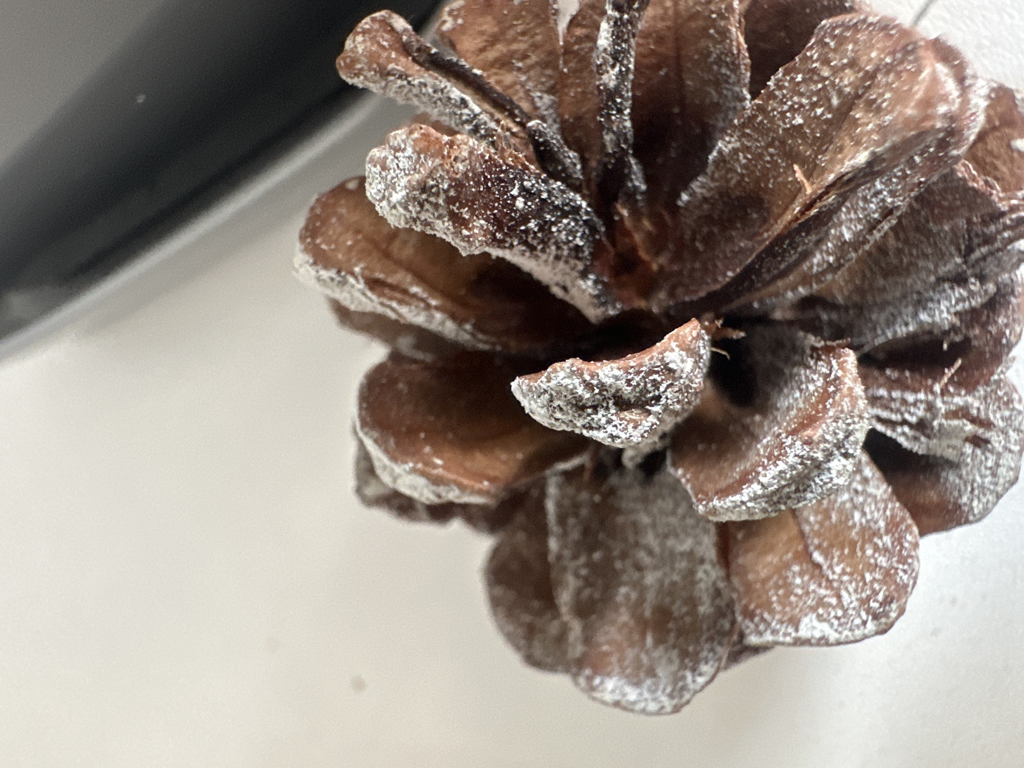 The image is a close-up, shallow depth-of-field shot of a decorative pinecone, likely used for seasonal or holiday decoration. The pinecone is brown with its scales dusted with a white substance, possibly artificial snow or glitter, giving it a frosted appearance. It is positioned on a light-colored, flat surface, which appears to be a table or countertop. To the left of the pinecone, a dark, blurred object occupies the background, with a thin, diagonal line suggesting a separation or edge of another surface. There is no visible text in the image. The lighting is diffused, and the focus is primarily on the texture and details of the pinecone. The overall impression is one of a still-life, focusing on the natural object enhanced by artificial embellishments. The context provided places the image in Belgrade, Serbia, though no specific Belgrade landmarks or cues are visible. The time of day and weather conditions are not discernible from the image.