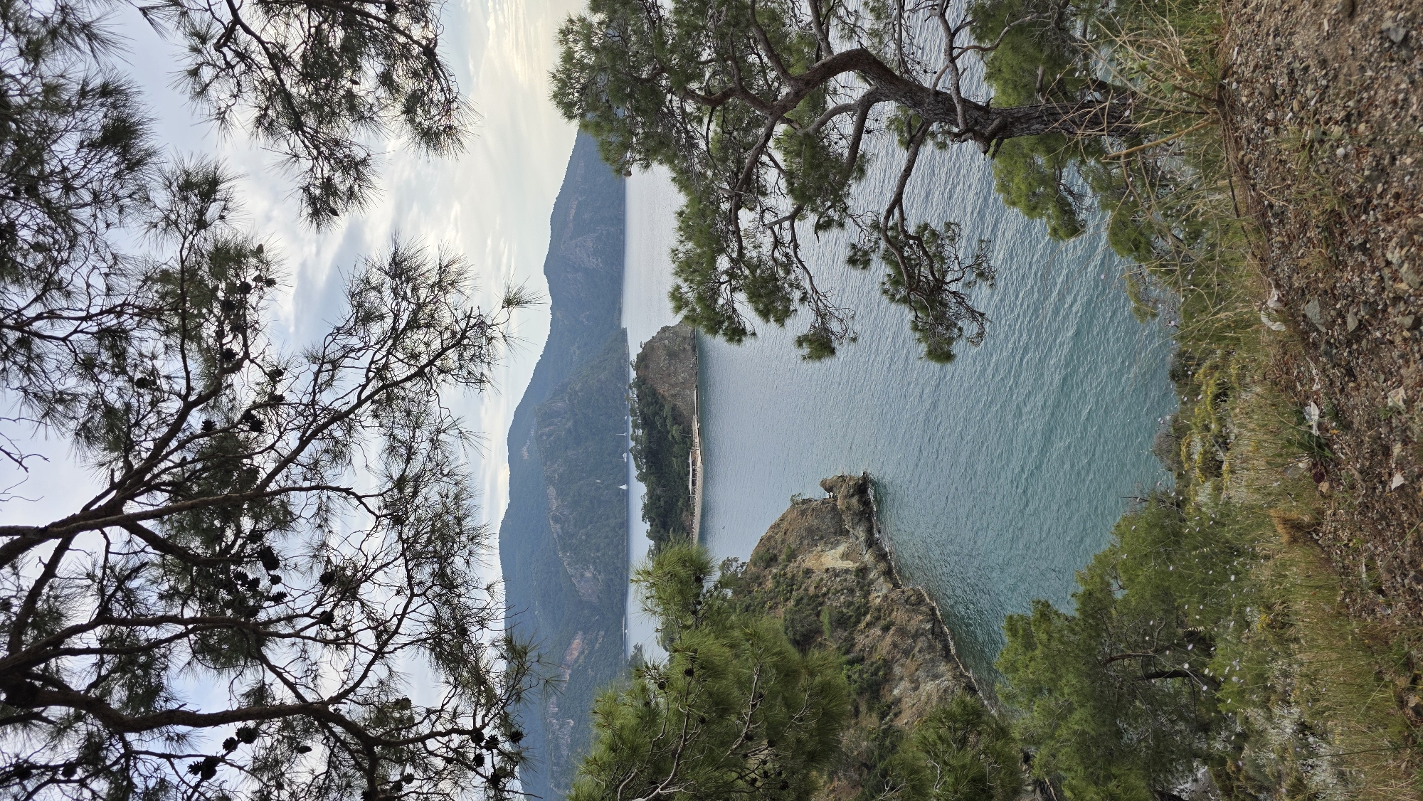 The image captures a coastal landscape in Fethiye, Turkey. It features a panoramic view of the turquoise sea framed by verdant, mountainous terrain. The foreground is dominated by pine trees with cones, their branches arching to create a natural frame at the top and sides of the image. The sea is relatively calm, reflecting the sky above, and dotted with small islands and peninsulas extending into the water. The coastline is rugged, with rocky cliffs and beaches. The view is taken from an elevated position, showcasing the depth and scale of the landscape.