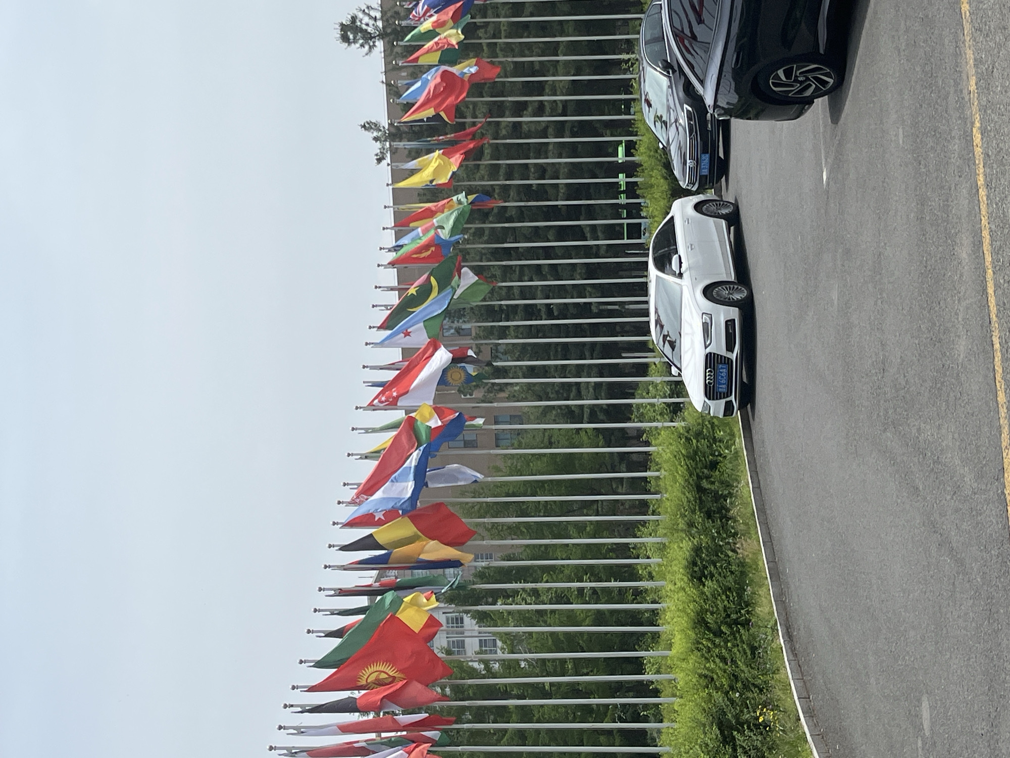 The image captures a row of flags from various countries lined up along a street in Changchun City, China. Two parked cars, one white and one dark-colored, are visible next to the flags. The street runs alongside a green hedge and a line of trees, with buildings in the background partially obscured by the trees. The sky is overcast.