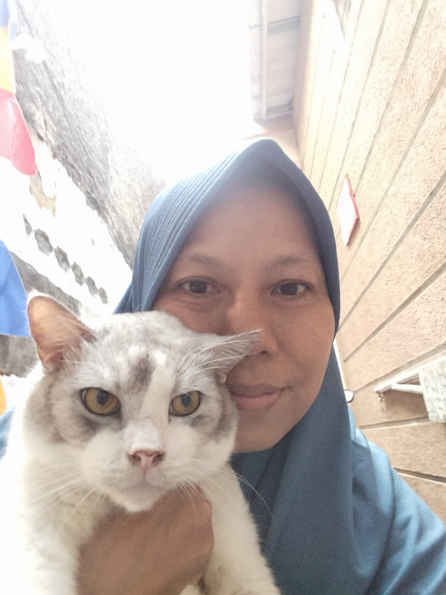 A medium shot photograph shows a woman wearing a blue hijab holding a white and gray cat. The woman is on the left side of the frame, and the cat is on the left side of the woman, in front of her. The woman's face is partially visible from the nose up. She is looking at the camera. The cat is looking at the camera. The cat's left ear is angled back. The cat's fur is white with gray markings on its head and back. Its eyes are yellow and its nose is pink. The woman's skin tone is brown. The background is a textured wall, possibly brick or concrete, with horizontal lines. A piece of red material is visible on the wall to the right of the woman's head. To the left of the woman, a light-colored wall or surface is visible, with some darker, irregular patterns and some colorful fabric elements in the upper left corner, potentially flags. The scene appears to be outdoors, possibly in a residential or urban area in East Jakarta, Indonesia.
