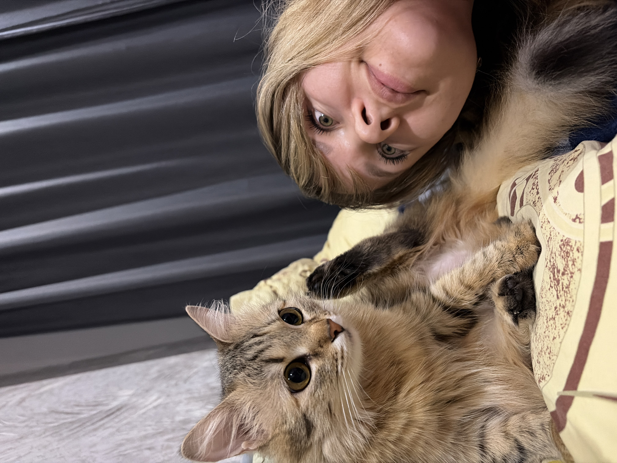 A young woman with blonde hair leans into the frame, her face tilted, capturing a selfie with a tabby cat. The cat lies on a yellow patterned surface, possibly a bed, looking up at the camera. A dark gray, horizontally-lined surface forms the background in the upper left corner. The image was taken indoors, likely in a home. The location information "Chaikovsky, Russia" suggests the image was taken in that city.