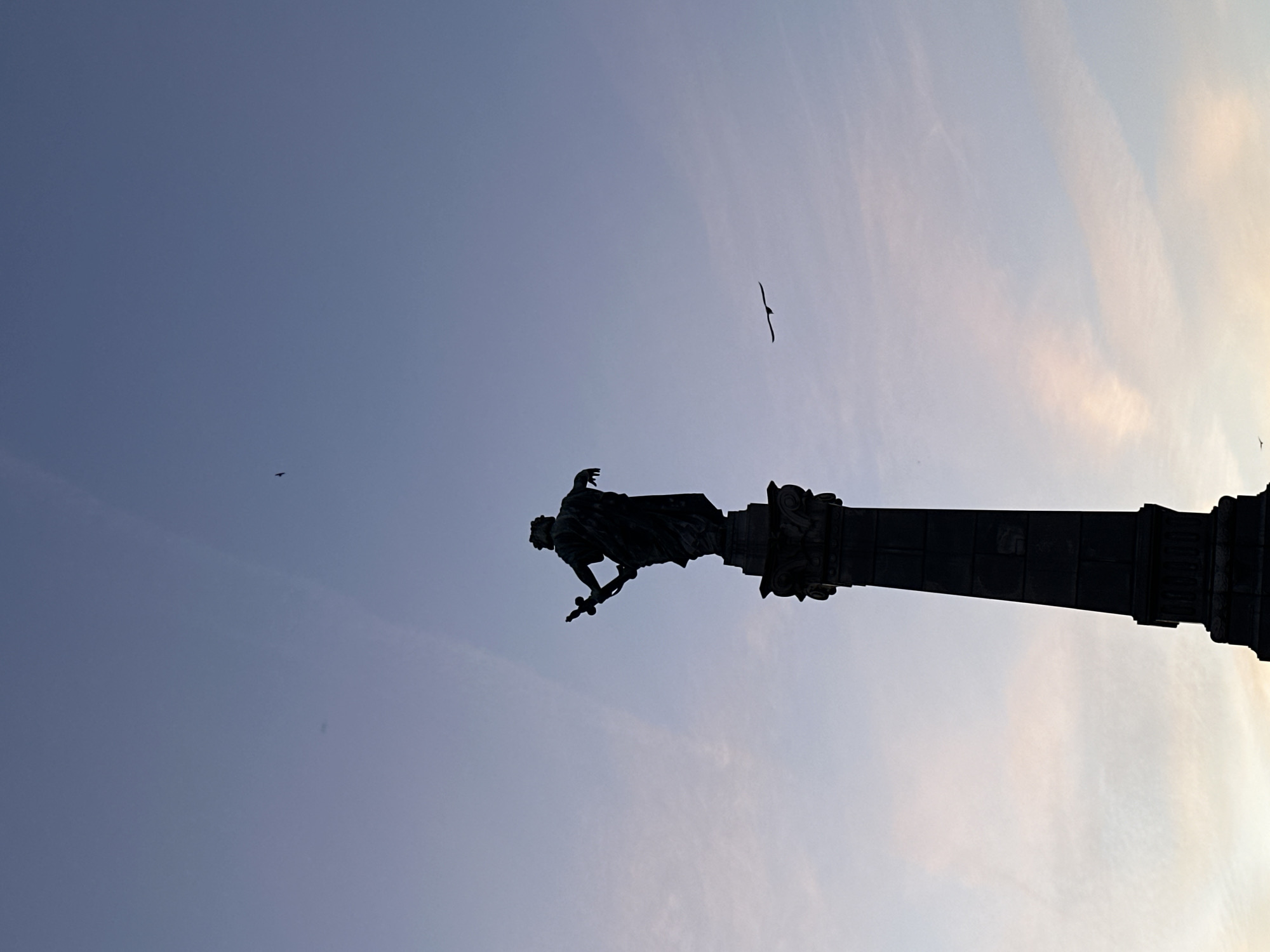 The image shows the Victory Column monument in Ruse, Bulgaria, silhouetted against a pale sky. The column, topped with a statue of a female figure holding a sword, is the central focus. Two birds are visible in the sky. The light suggests either dawn or dusk.