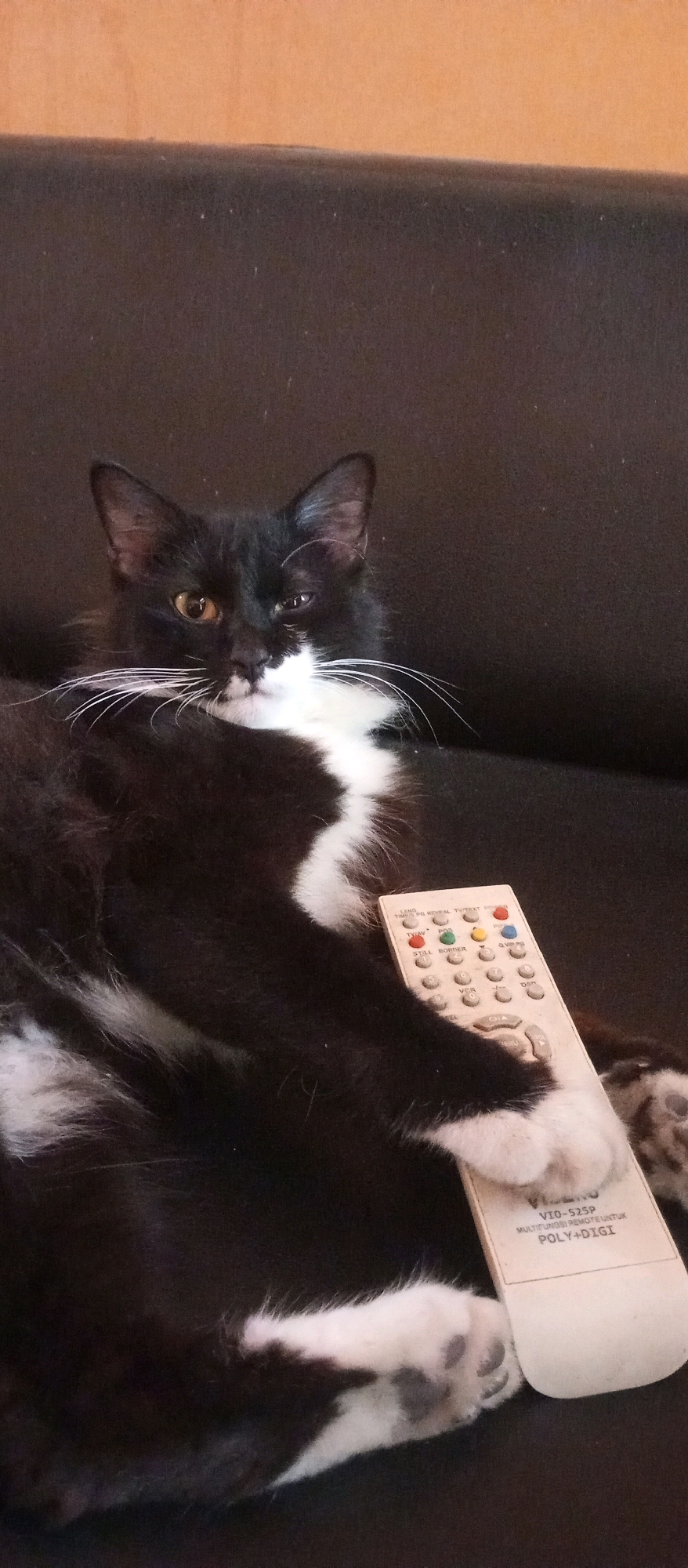A black and white cat with green eyes is lying on a dark couch, holding a TV remote control in its right paw. The cat appears to be relaxed. The background is a dark, textured surface, likely the couch. The lighting is dim, with a slight warm tone. The image is a close-up shot, focusing on the cat and the remote. There is no discernible location in the city of Ngargorejo, Indonesia.