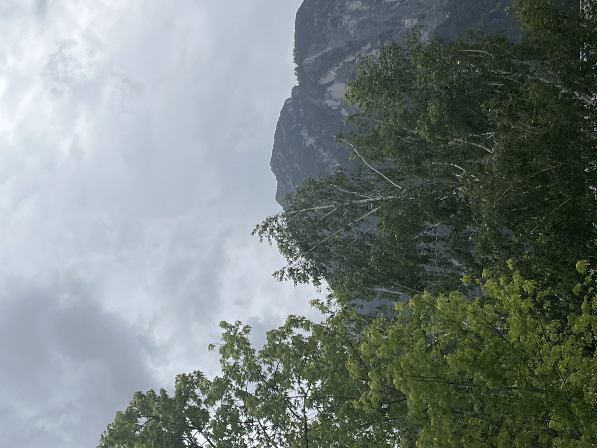 The image captures a view of the Zugspitze mountain range in Garmisch-Partenkirchen, Germany, under a cloudy sky. In the foreground, lush green trees, likely deciduous, partially obscure the view of the mountains. The trees are dense and vibrant, with some appearing to be in full leaf. The sky is overcast with various shades of gray clouds, suggesting either an impending storm or a generally dull weather day. The mountain landscape itself is rugged and imposing, with visible rock faces and vegetation. The overall scene conveys a sense of natural grandeur and slightly melancholic weather. There are no people or man-made structures prominently visible in the frame.