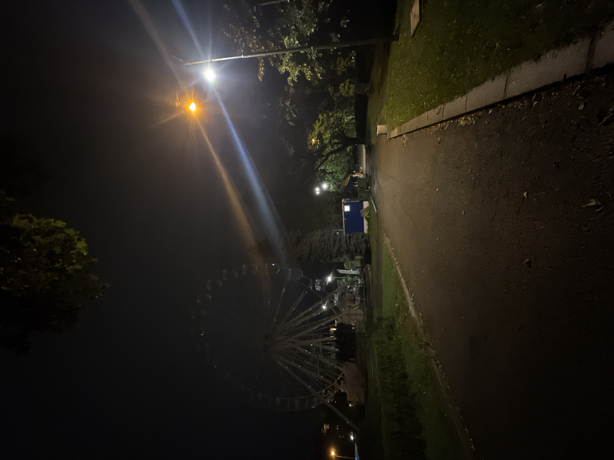 The image depicts a nighttime scene in what appears to be a park or fairground in Sofia, Bulgaria. The photograph is oriented vertically (rotated 90 degrees clockwise from a typical landscape view), with a paved pathway running along the right side of the frame. This dark, asphalt path is bordered by a concrete curb and a strip of green grass to its right. The path's surface appears slightly wet, reflecting the artificial light.
On the left side of the frame, a large Ferris wheel is prominently visible, its structure outlined by numerous small, white lights illuminating its spokes and cabins. The Ferris wheel rises against a dark, cloudy sky, with some tree foliage partially obscuring its lower sections. Several bright streetlights punctuate the darkness, casting intense beams of light and lens flares across the scene. One particularly bright, warm-toned streetlight is high on the left, while cooler white lights are seen further into the background.
Trees with green leaves, illuminated by the various light sources, line the area between the pathway and the Ferris wheel, extending into the mid-ground. Near the base of the Ferris wheel, a distinct blue container or structure is visible, along with other indistinct, possibly temporary, structures. The overall scene suggests a festive or recreational event, likely an amusement park or carnival, operating at night. No people or visible text are present in the image. The ambient light indicates a clear night, though some atmospheric haze might be present, contributing to the light diffusion.
