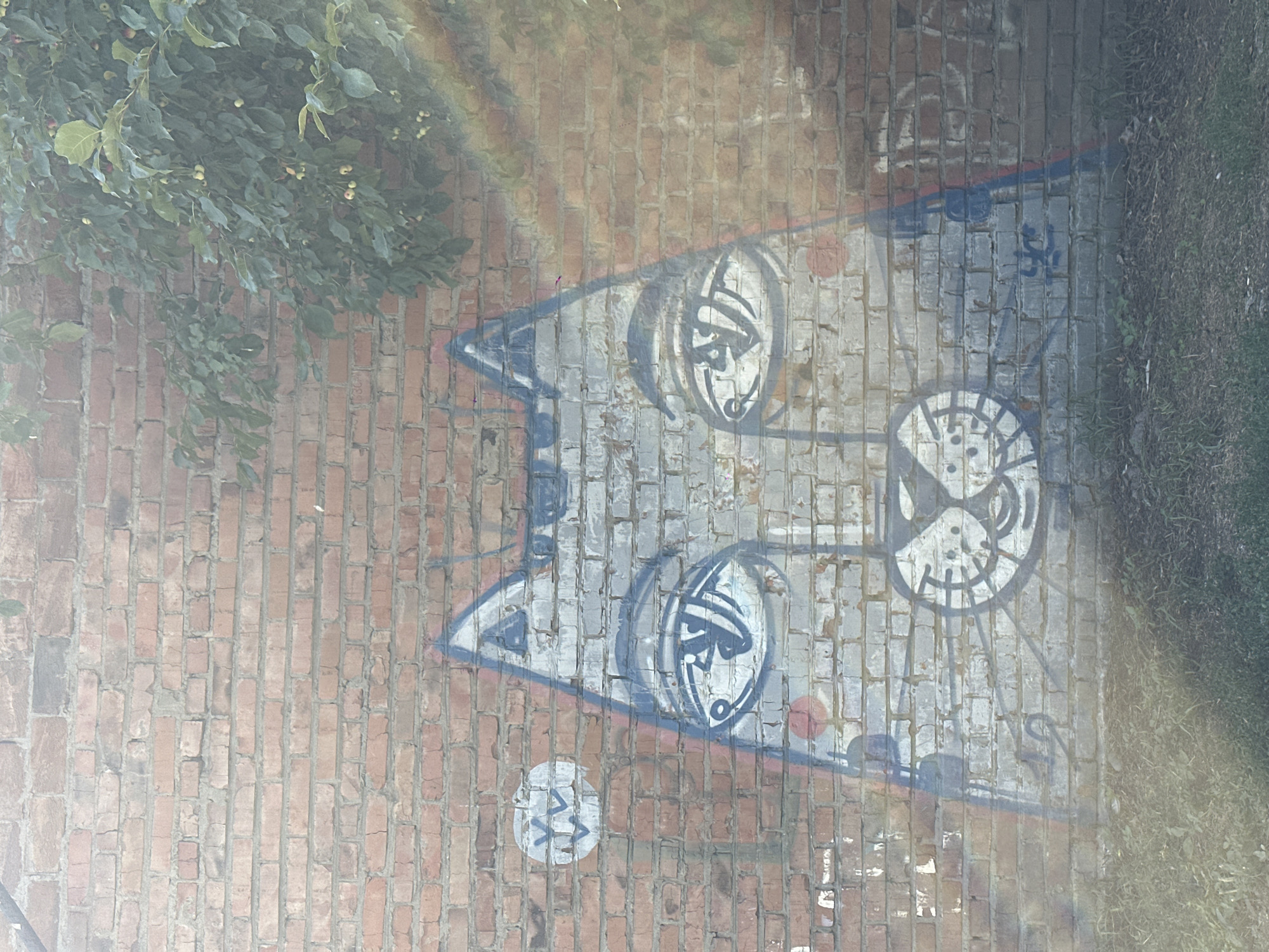 The image shows graffiti of a stylized cat face on a red brick wall. The cat's face is painted in shades of grey and blue, with large, distinctive eyes, a small nose, and a smiling mouth. To the left of the cat's face is a circular graffiti element containing two stylized "W" shapes. Green foliage from a tree is visible in the upper right corner of the image, casting a shadow on the wall. The ground in front of the wall is covered in grass and dirt. The graffiti appears to be on an exterior wall of a building.