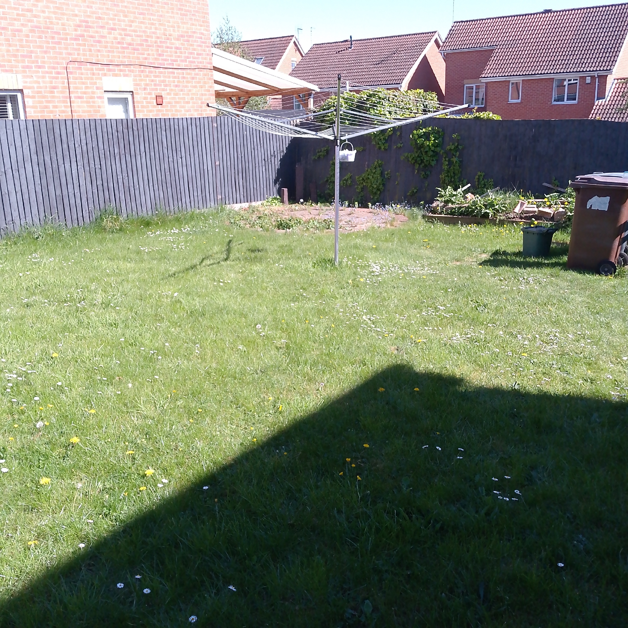 This image captures a sunny residential backyard or garden in Corby, United Kingdom. The foreground features a lush green lawn, liberally sprinkled with small white daisies and bright yellow dandelions. A prominent, dark triangular shadow, cast by an unseen object, extends across the bottom right section of the lawn, indicating bright sunlight.
In the midground, a silver rotary clothesline stands in the center of the lawn, equipped with multiple drying lines. A small white bucket is clipped to its central pole. Behind the clothesline, a dark grey or black wooden slatted fence serves as a boundary, with some sections partially covered by climbing green foliage. To the right, there's an unkempt area that appears to be a raised garden bed or patch of disturbed earth with some plants and debris. A large brown wheelie bin with wheels is positioned to the right, bearing an unreadable light-colored sticker or label. A smaller green plastic bin or bucket sits on the grass near the wheelie bin.
The background reveals several brick houses with distinctive reddish-brown tiled roofs and white-framed windows, characteristic of UK residential buildings. On the far left, a wooden pergola-like structure with a translucent roof extends from one of the houses. The sky is clear and bright, indicating good weather. No people are visible, and the scene depicts a quiet, everyday garden on a sunny day.