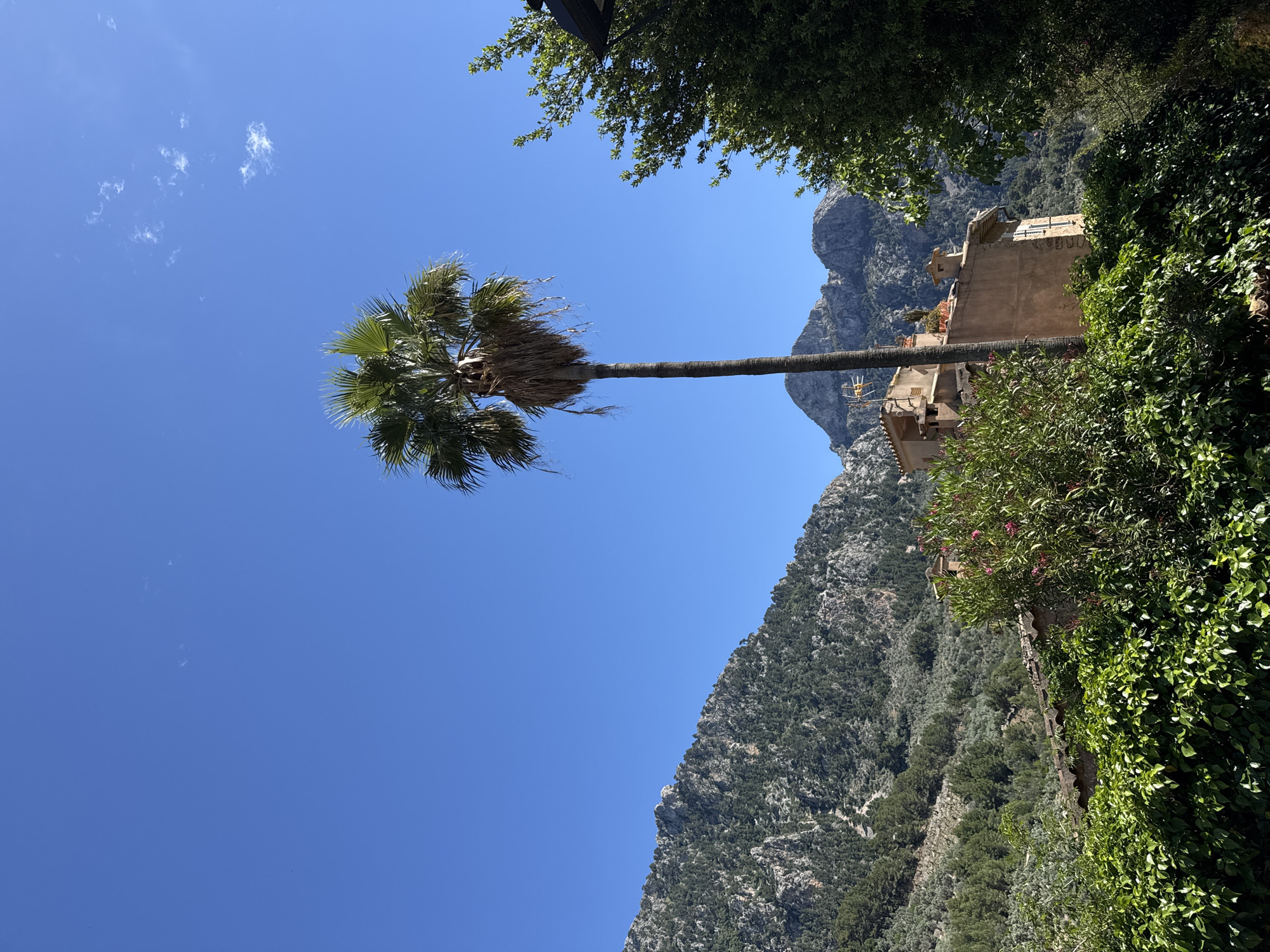 A low-angle, tilted shot captures a tall palm tree in Fornalutx, Spain. The tree's long, bare trunk stretches across the frame toward a multi-story, stone building nestled into the side of a mountain. The building is partially obscured by lush green foliage. Behind the building, a steep, rocky mountain covered with trees rises into the frame. The sky is a clear, bright blue with a few wispy clouds. Green trees are visible at the top edge of the frame.