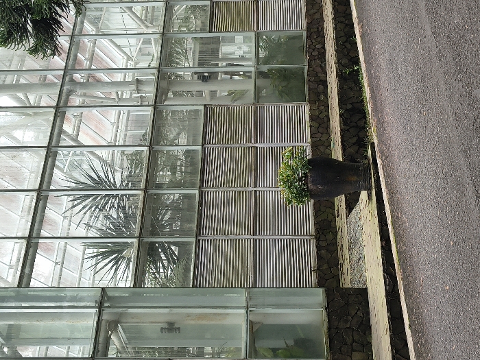 The image depicts a greenhouse structure with clear glass panes and alternating sections of metal louvers. Various plants are visible both inside the greenhouse and directly outside, with one potted plant set upon a concrete ledge next to a dark gray road. The overall image is shot at a slight angle.