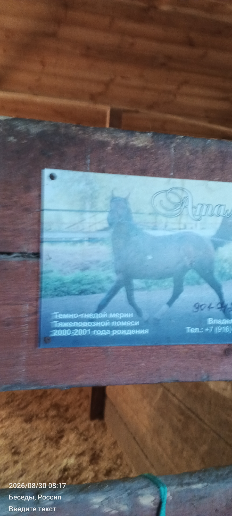 The image shows a close-up of a sign with a picture of a horse and some text in Russian. The sign is mounted on a wooden structure, possibly a stable or barn. The horse in the picture is dark brown and appears to be a draft horse. The text on the sign describes the horse as a "dark bay gelding, heavy draft cross, born 2000-2001." Below this, there is additional text which includes a phone number. The overall lighting suggests it is daytime. The background of the sign is a light blue-green, and the horse is in profile, facing left. The wooden structure is rough-hewn and reddish-brown. There is a date stamp in the bottom left corner of the image that reads "2026/08/30 08:17" and below that "Besedy, Russia."