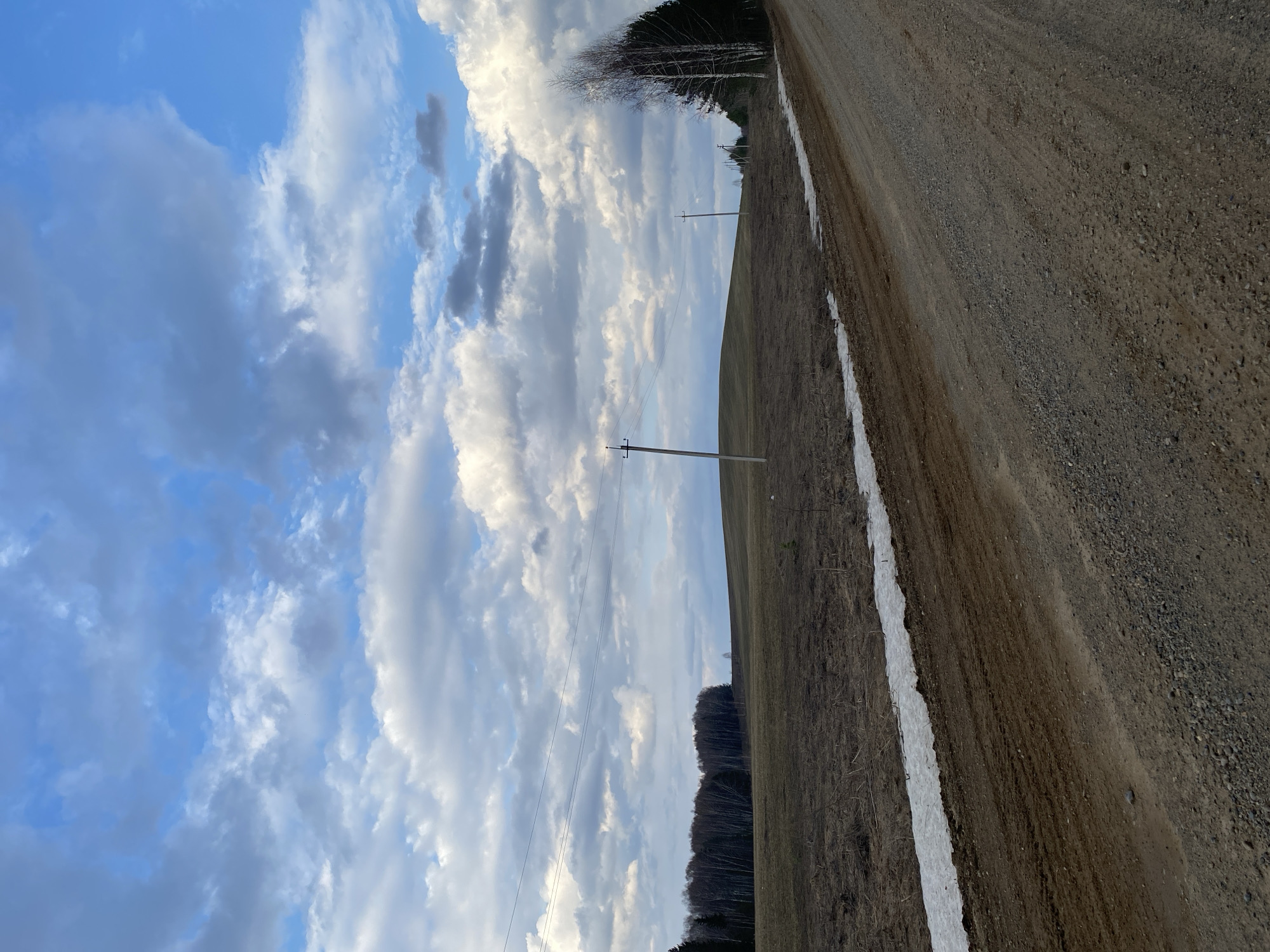 The image depicts a vast, open rural landscape in Nekrasovo, Russia, characterized by a gravel road, fields, distant trees, and a dynamic sky. The scene appears to capture the transition from late winter to early spring.
In the foreground, a wide, unpaved gravel road extends diagonally across the frame, from the lower right towards the middle left. A narrow, elongated strip of melting snow runs along the left edge of this road, indicating recent cold weather or remaining snow patches. Adjacent to the road and snow is a large, seemingly barren field with light brown, dry vegetation, stretching towards the horizon.
Further into the mid-ground, two wooden utility poles with power lines are visible, providing a human-made element within the natural setting. Beyond the field and poles, a dense line of trees forms the distant horizon. These trees appear to be a mix of bare deciduous trees and dark evergreen conifers.
The sky dominates the upper portion of the image, featuring a dramatic display of clouds. Large, white, and fluffy cumulus clouds intermingle with darker grey cloud formations, with various shades and textures. Patches of clear, light blue sky are visible between the clouds. The lighting suggests it is daytime, possibly with diffused sunlight.
There are no people, animals, or vehicles present, and no specific activity is taking place. No text is visible in the image. The overall atmosphere is one of quietude and the vastness of nature undergoing seasonal change.