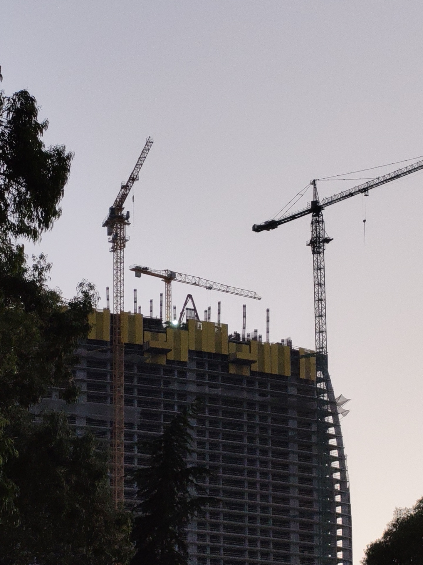 This is a medium-shot photograph taken from a low angle, capturing a view of a high-rise building under construction in Batumi, Georgia. The sky is overcast and light-colored, providing a neutral background. In the foreground, the dark silhouettes of trees partially obscure the view of the building and its construction equipment.
The central subject is a large, unfinished skyscraper, characterized by its grid-like facade of numerous windows and balconies, many of which appear to be empty or unfinished. Yellow sheeting is visible around the upper floors, likely used for protection or to indicate ongoing work.
Dominating the skyline are several construction cranes. A tall, prominent tower crane is positioned to the left of the building, its lattice structure extending upwards. To the right of this, another, longer tower crane stretches horizontally across the frame, its boom angled downwards. Further back and to the left, a shorter, orange tower crane is also visible, standing amongst other construction elements. The cranes are static, indicating a pause or the natural state of the site.
The overall impression is one of active development and large-scale construction within an urban environment. No people are visible in the frame. The image has a slightly desaturated and muted color palette, consistent with an overcast sky.