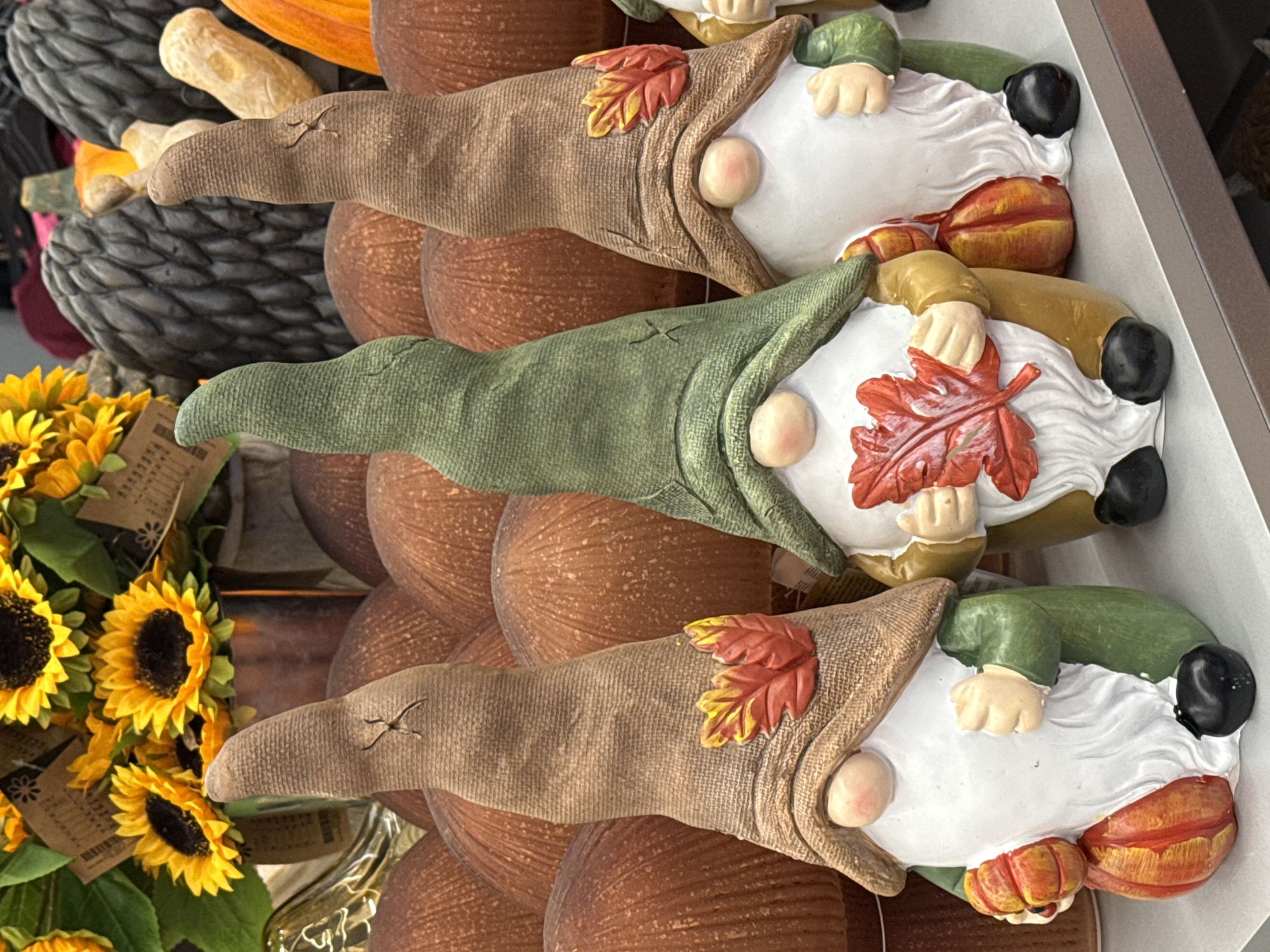 Three autumnal gnomes stand in a row on a shelf, likely in a retail setting given the display of seasonal decorations in the background. The gnomes are dressed in conical hats and simple clothing. The gnome on the left wears a brown hat adorned with two fall leaves and holds a small pumpkin in its left hand. The middle gnome wears a green hat and holds a large red leaf. The gnome on the right also wears a brown hat with fall leaves and has its hands clasped in front of its body. Behind the gnomes are rows of large, mushroom-shaped decorations, and further back are sunflowers and other fall-themed decor, including large, dark, textured objects that could be decorative pumpkins or gourds. The lighting appears to be artificial and bright. There are no people visible in the image, and no specific identifiable landmarks or features that would indicate a location in Bad Lauterberg im Harz, Germany. The scene is static and purely decorative.