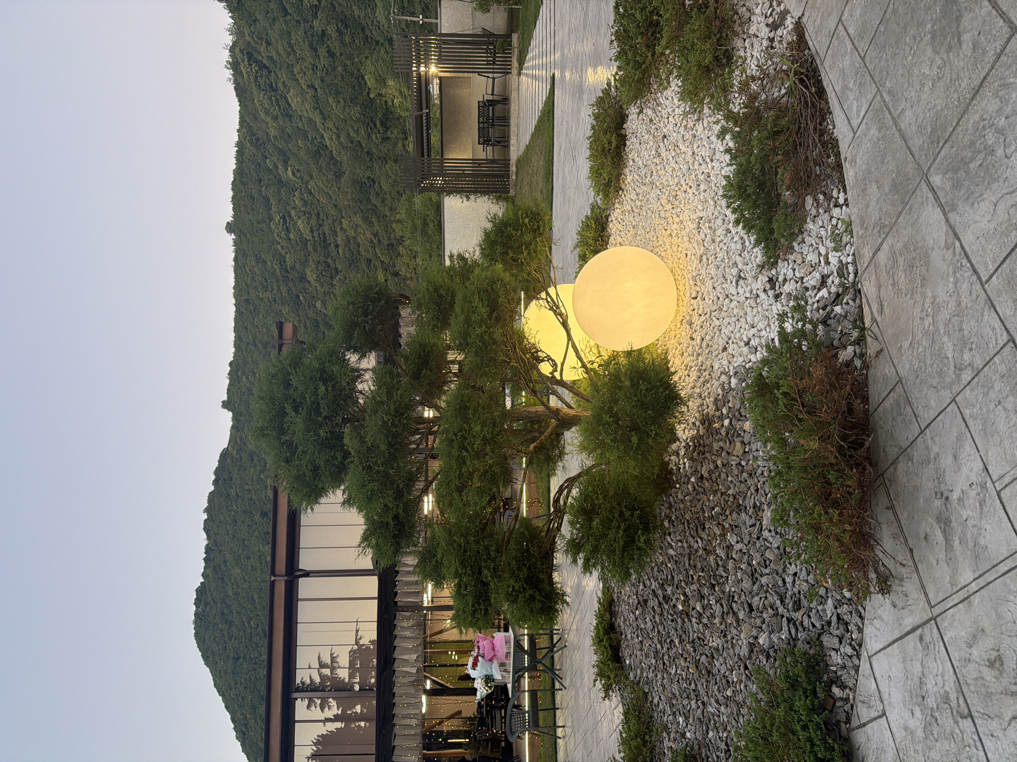 The image depicts an outdoor scene at dusk in Achadara, Abkhazia, likely at a restaurant or event venue. In the foreground, a meticulously landscaped area features a bonsai-like tree surrounded by a bed of light-colored pebbles and dark gray stones, interspersed with low-lying green shrubs. Two large, spherical, glowing orbs provide ambient light, casting a warm yellow glow. Beyond this, a paved pathway leads to a seating area under a modern pergola with dark wood vertical slats. Tables and chairs are visible within the pergola.
To the left, a building with a large glass facade reflects the surrounding trees and sky. A table set with chairs and bouquets of flowers is positioned outside this building, suggesting an outdoor dining or waiting area. The background is dominated by lush, tree-covered hills rising steeply against a clear, pale sky. The overall atmosphere is serene and designed for outdoor relaxation or dining.