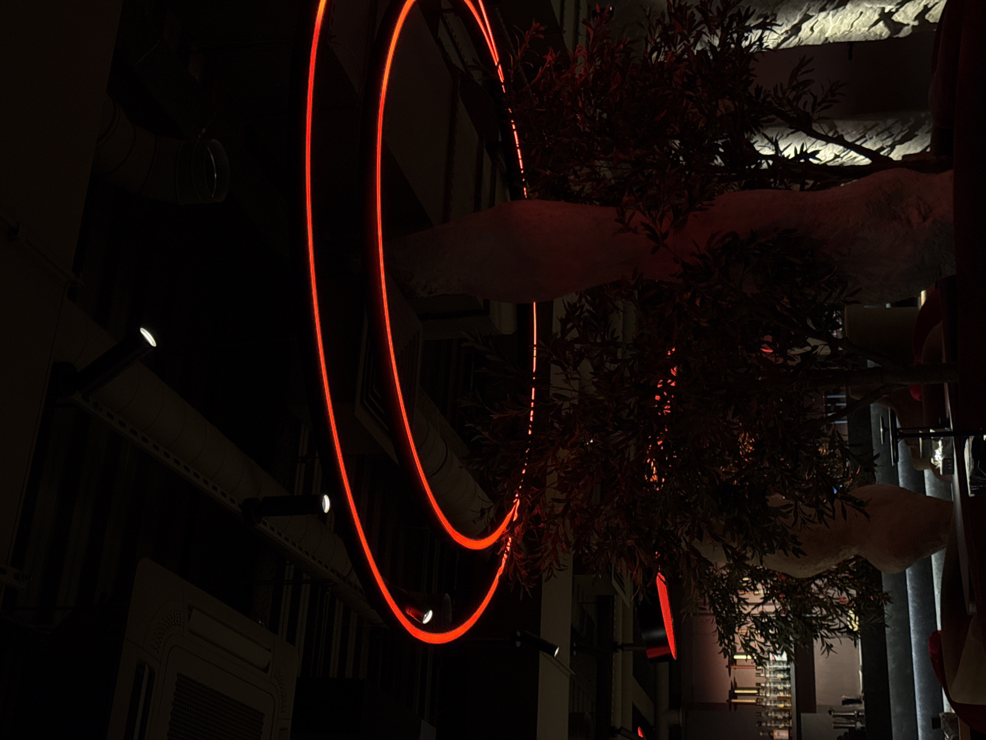 The image depicts a dimly lit interior, possibly a bar or restaurant, in Moscow, Russia. A prominent feature is a large tree with dense foliage, which appears to be an olive tree. The tree is positioned in the center of the frame, obscuring some of the background.
Illuminating the scene are two concentric, curved, red neon lights or LED strips that form a semi-circular shape. These lights are the most significant source of illumination, casting a red glow on the surrounding objects.
The background consists of architectural elements typical of an urban setting, including building structures, pipes, air conditioning units, and lighting fixtures. In the distance, there is a glimpse of a bar or display with various bottles. There are also several abstract light fixtures visible.