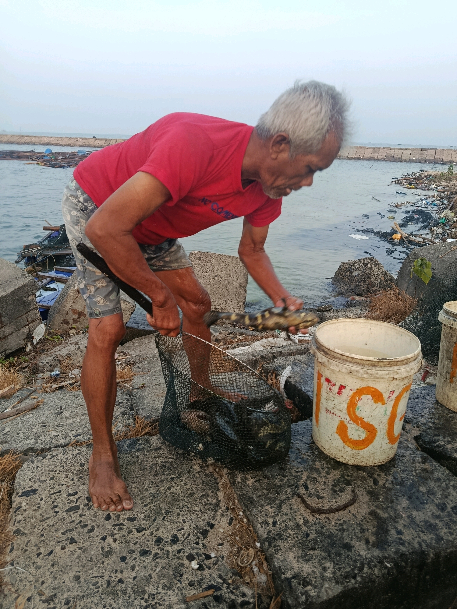 An elderly man with gray hair and a red t-shirt is standing on a rocky shoreline with a net filled with fish. He is holding a striped fish in his right hand, about to place it in a white bucket. The bucket is marked with orange lettering. In the background, there is a body of water with some floating structures and debris on the shore. The overall environment appears to be a coastal area possibly in Jepara, Indonesia, where fishing is a common activity.