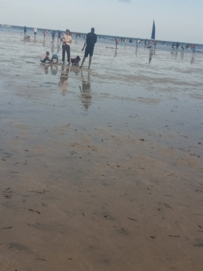 The image depicts a populated wet sandy beach or tidal flat in Shanzu ward, Kenya, under a pale, overcast sky. The ground surface is largely wet sand, exhibiting shallow water and numerous reflections of subjects and the sky. Small fragments of dark organic matter, possibly seaweed, are scattered across the foreground.
In the mid-ground, a group of five subjects is visible. From left to right:
1. Two individuals, appearing to be children, are positioned low to the ground, possibly kneeling or stooping in the wet sand. One wears light-colored bottoms, the other darker attire.
2. A standing adult, dressed in a light-colored shirt and dark trousers, stands facing generally towards the left.
3. A small, dark-furred animal, consistent with a dog, stands near the adult, wearing a reddish harness or garment.
4. A tall adult male, wearing a dark top and dark shorts, stands with his back partially towards the camera, facing right. He holds a dark, elongated object, possibly a staff or fishing rod, in his right hand.
All five subjects cast distinct reflections onto the wet sand.
In the background, numerous indistinct human figures are dispersed across the expansive wet surface, appearing to walk or stand in shallow water. A dark-sailed vessel, possibly a dhow or sailboat, stands upright in the far background, also casting a reflection. The scene indicates a leisure or recreational environment at the coast.