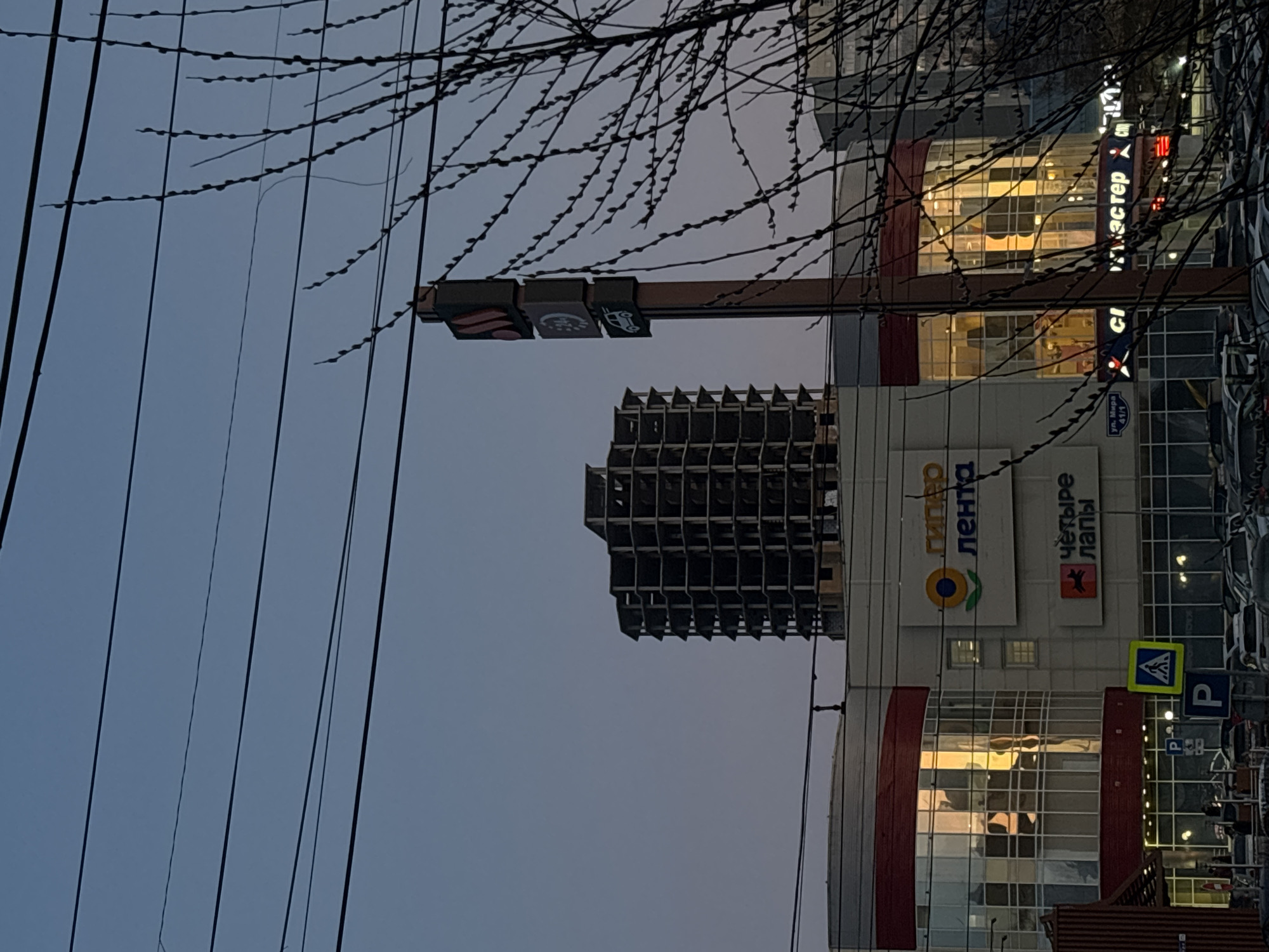 The image shows a view of Perm, Russia. There is a building with a skeleton frame. A sign for "Lenta" and "Четыре Лапы" is visible on an adjacent building. A traffic signal with icons depicting a pedestrian, a car, and a person in a wheelchair is also in view. Electrical lines are visible in the sky. Trees with bare branches are in the foreground.