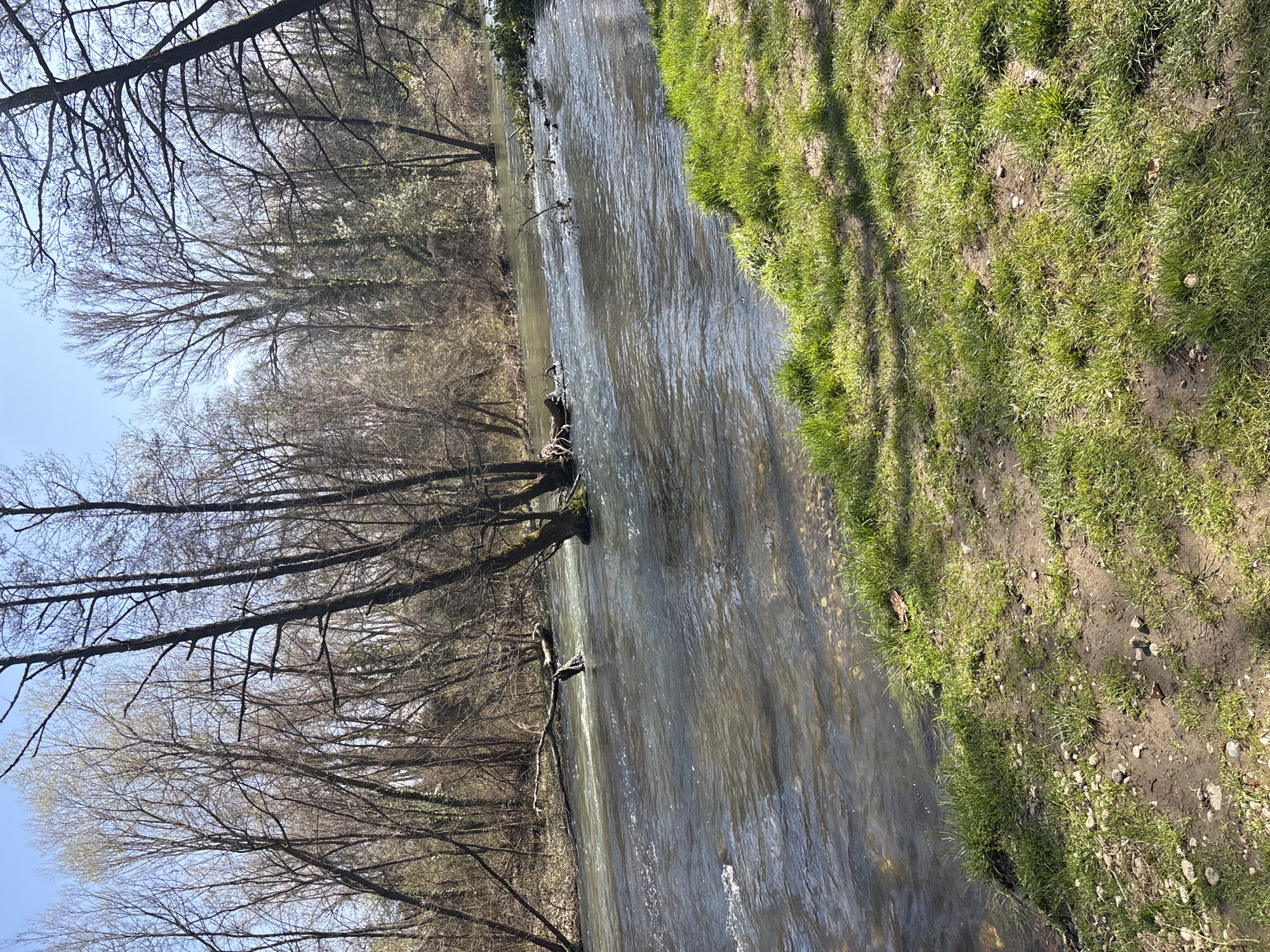 A small river flows through a wooded and grassy area, likely in or near Sofia, Bulgaria. The riverbank on the right side of the image is covered with green grass and some bare patches of dirt. Trees, mostly bare of leaves, line the left bank of the river. The water is flowing, with some reflections visible on the surface.