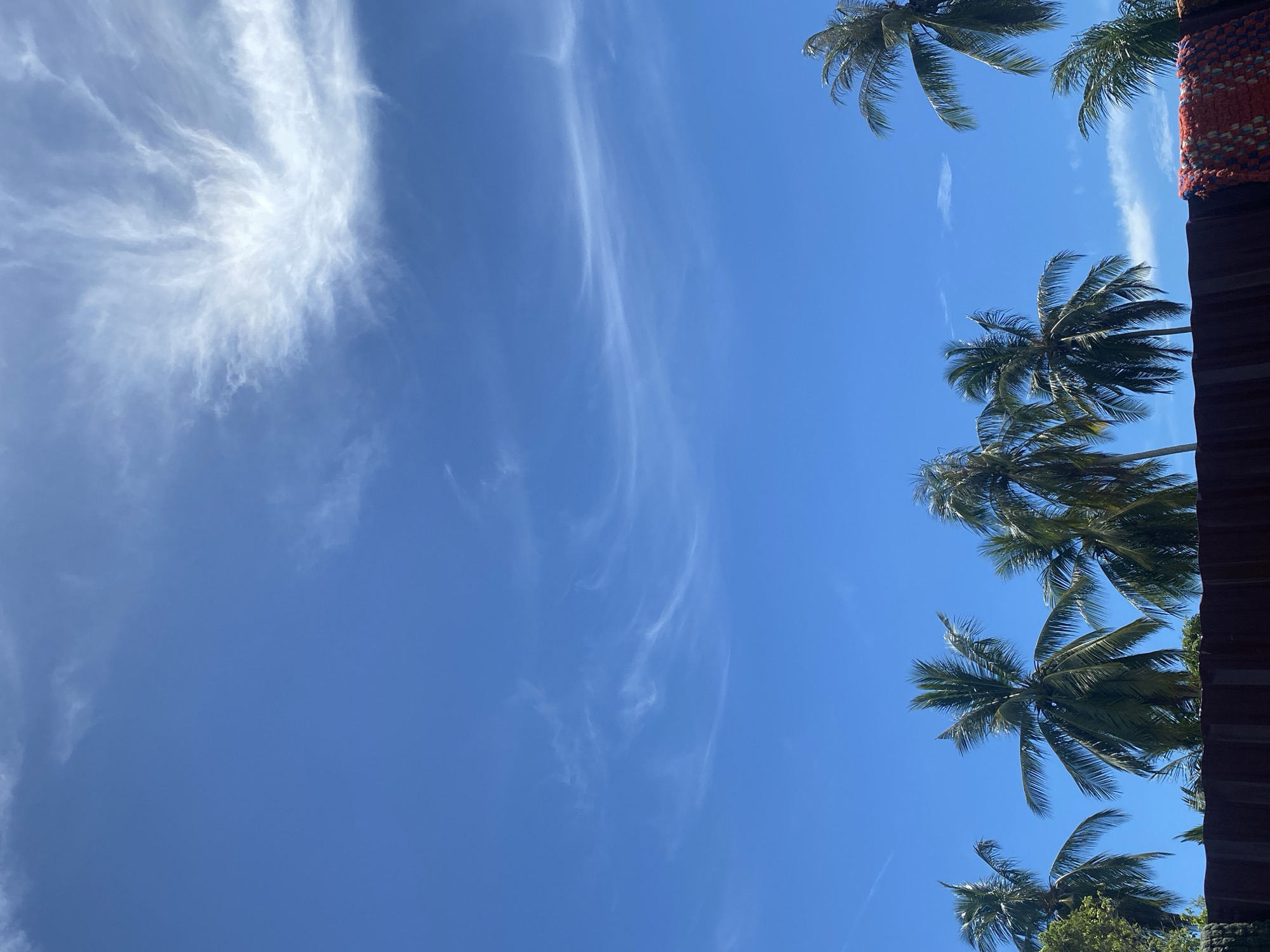 The image shows a view looking upwards towards a clear blue sky with wispy cirrus clouds. In the lower right corner, palm trees and a section of what appears to be a building or roof can be seen. The location is implied to be Seuneubok Teungoh, Indonesia, but there are no specific details in the image to confirm this. There are no people visible. The primary subjects are the sky, clouds, and palm trees. The action is static, a snapshot of the environment.