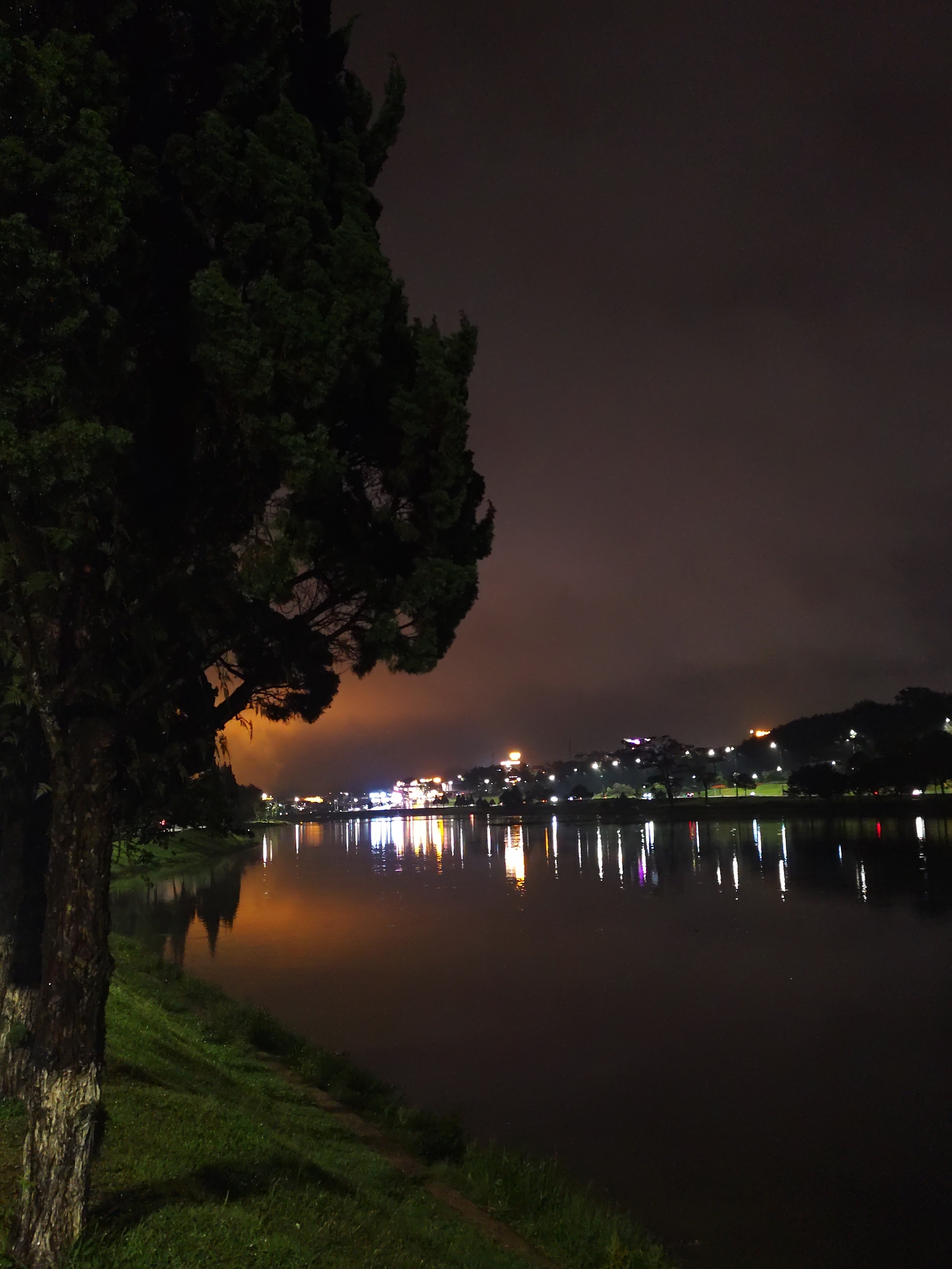 This is a night scene taken at Xuan Huong Lake in Da Lat, Vietnam. A large tree stands on the left side of the frame, partially obscuring the view. The lake fills the midground, reflecting the lights from the buildings on the opposite shore. The buildings are illuminated, casting vertical reflections in the still water. The sky is dark, possibly due to clouds or nightfall. The foreground features a grassy bank along the lake's edge.