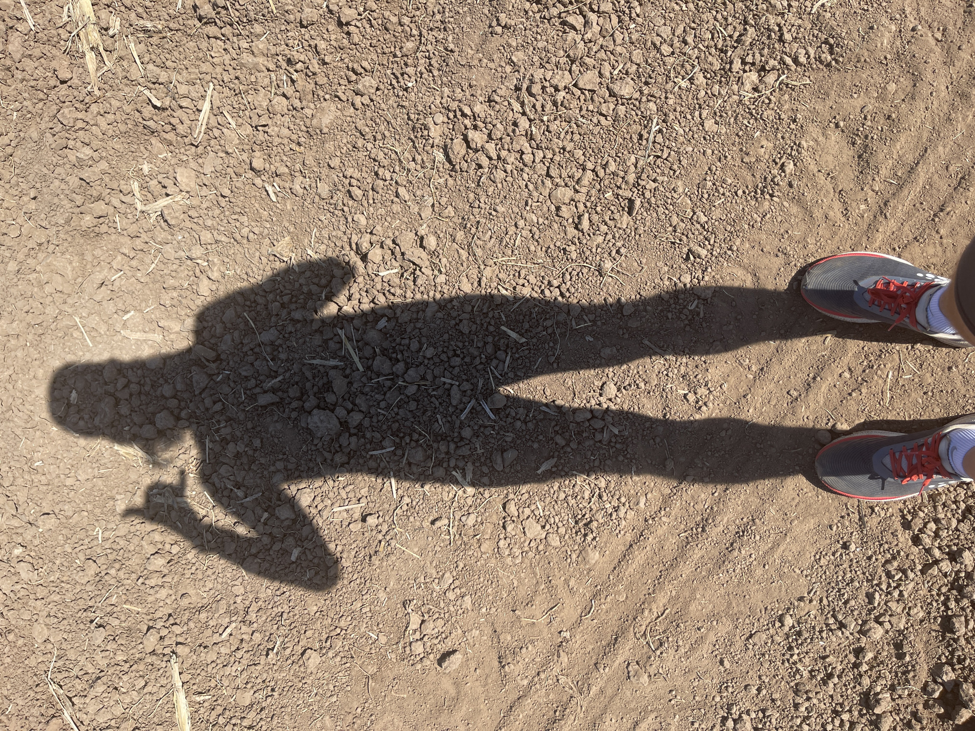 The image shows a patch of dry, cracked earth with small rocks and some dried plant matter. A shadow of a person is cast on the earth, with the shadow's head toward the left. At the right edge of the image, portions of two running shoes are visible. The shoes are dark with red laces. Based on the dry earth and plant matter, the location is likely a rural area. The location of Перевозное, Russia, cannot be verified.