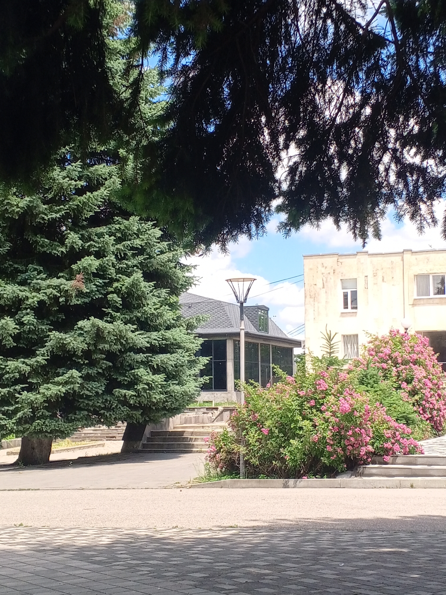 The image captures a sunny day in Yessentukskaya, Russia, with a view of a light-colored, two-story building in the background. The building has multiple windows, some with white frames and others with grilles. In front of the building, there is a vibrant bush with pink flowers, suggesting a spring or summer season. To the left, a large evergreen tree dominates the foreground, its branches casting shadows on the paved ground. Adjacent to the tree, a set of stairs leads upwards. A modern street lamp with a unique, angular design stands near another building with a dark, sloped roof and large glass windows. The ground is paved with interlocking gray tiles that show a checkered pattern due to the sunlight and shadows. The sky is blue with scattered white clouds. No people are visible in the scene.