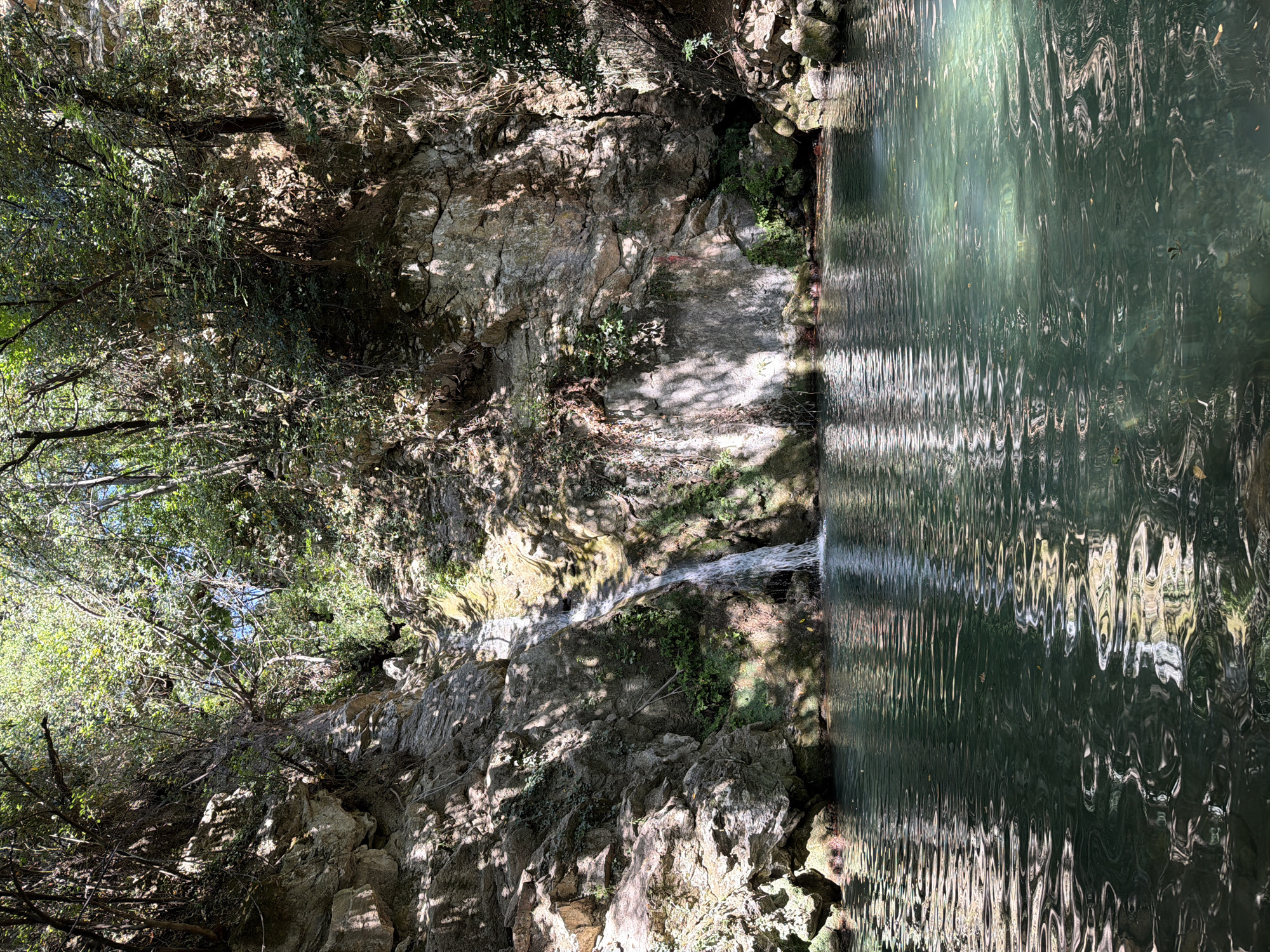 A waterfall cascades down a rocky cliff face into a pool of clear green water. The surrounding area is densely wooded with trees and vegetation growing on the rocks. Sunlight filters through the leaves, creating dappled patterns on the water and rocks. The scene depicts a natural outdoor environment, likely a secluded spot within a forest or mountainous region. The image is taken from a low angle, looking up at the waterfall and pool.