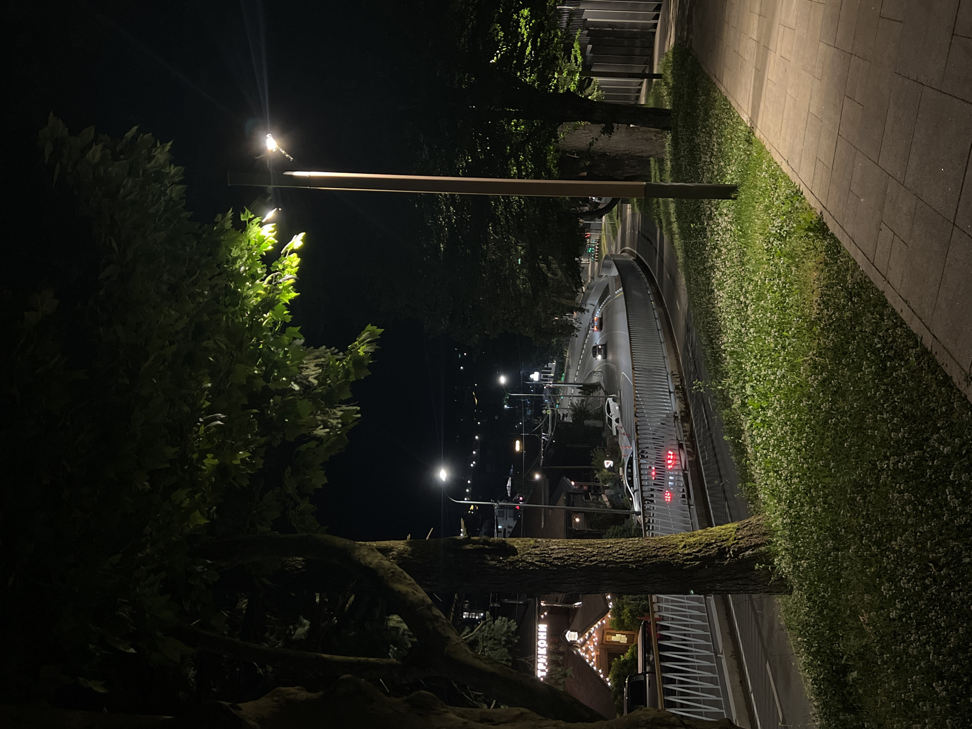 The image shows a nighttime view of a street in Krasnaya Polyana, Russia. A lamppost illuminates a sidewalk paved with square tiles, bordered by a grassy area with small white flowers. Trees with dark bark and lush green leaves are prominent in the foreground and midground. A road curves to the left, with cars visible in motion, their headlights and taillights creating streaks of light. On the left side of the road, a building with illuminated windows and a sign in Cyrillic letters is visible. Guardrails line the edge of the road. In the distance, more lights suggest the presence of buildings and infrastructure. The overall scene depicts a well-lit urban environment at night, with natural elements integrated alongside man-made structures.